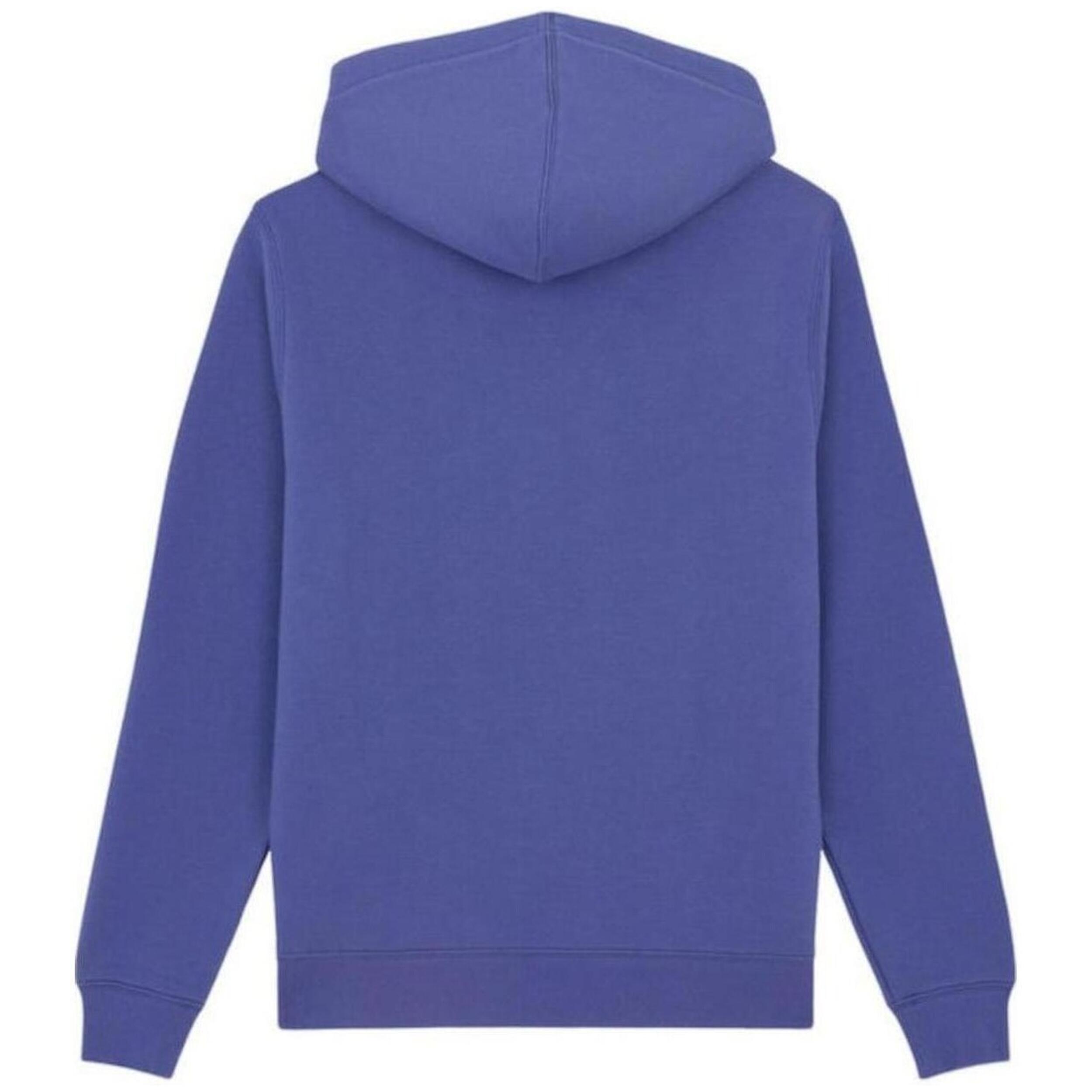 Sweat à capuche Dickies modèle DK0A4XD3K421 pour homme 2/4