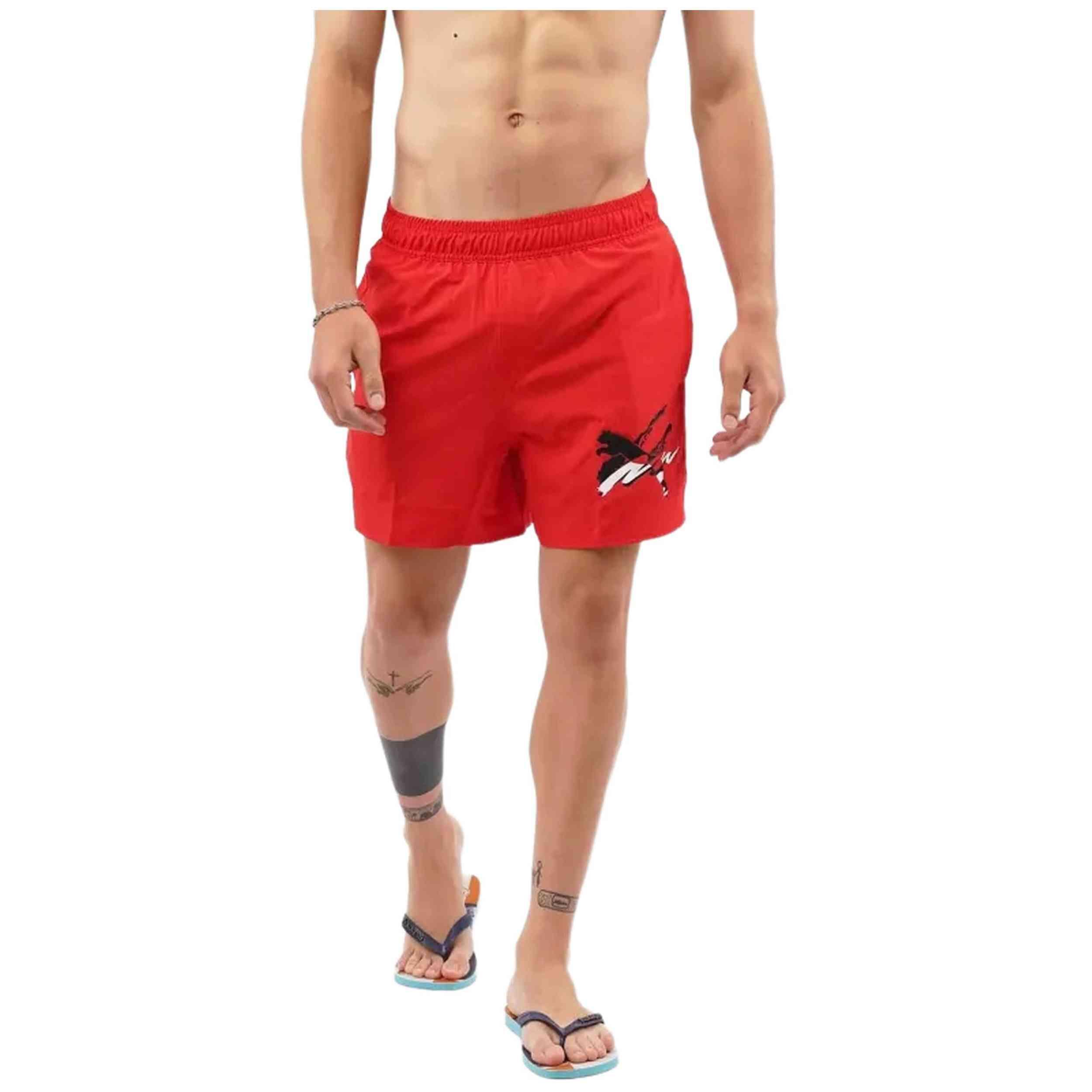 PUMA picture