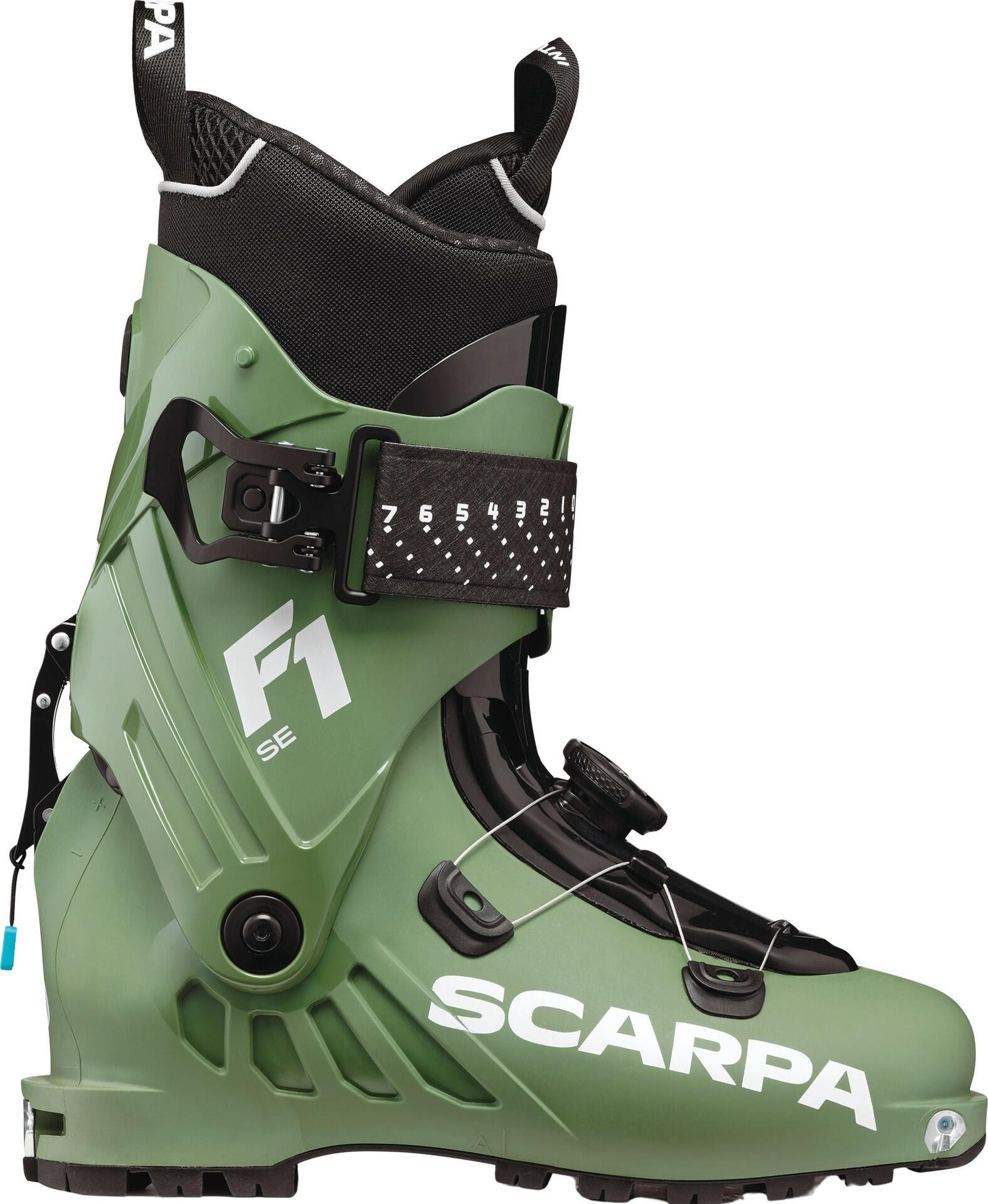 SCARPA picture