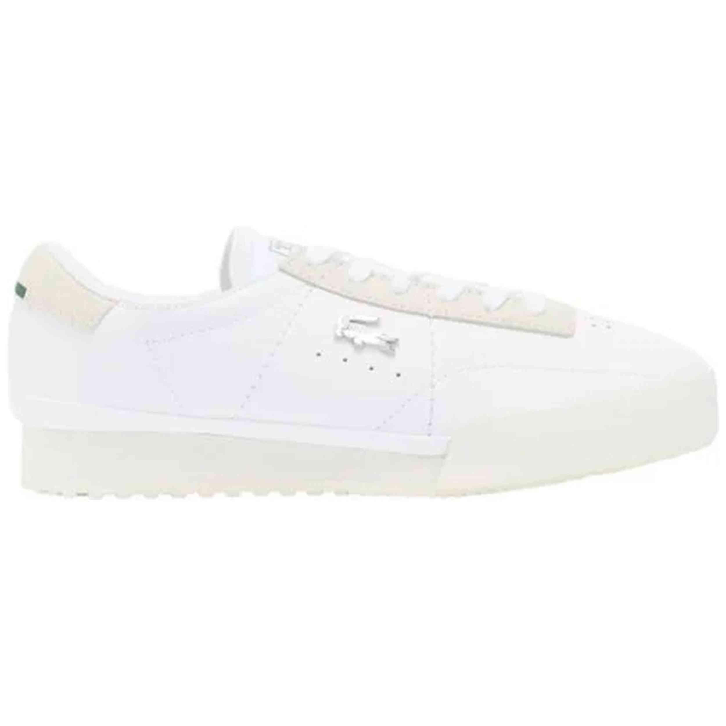 LACOSTE picture