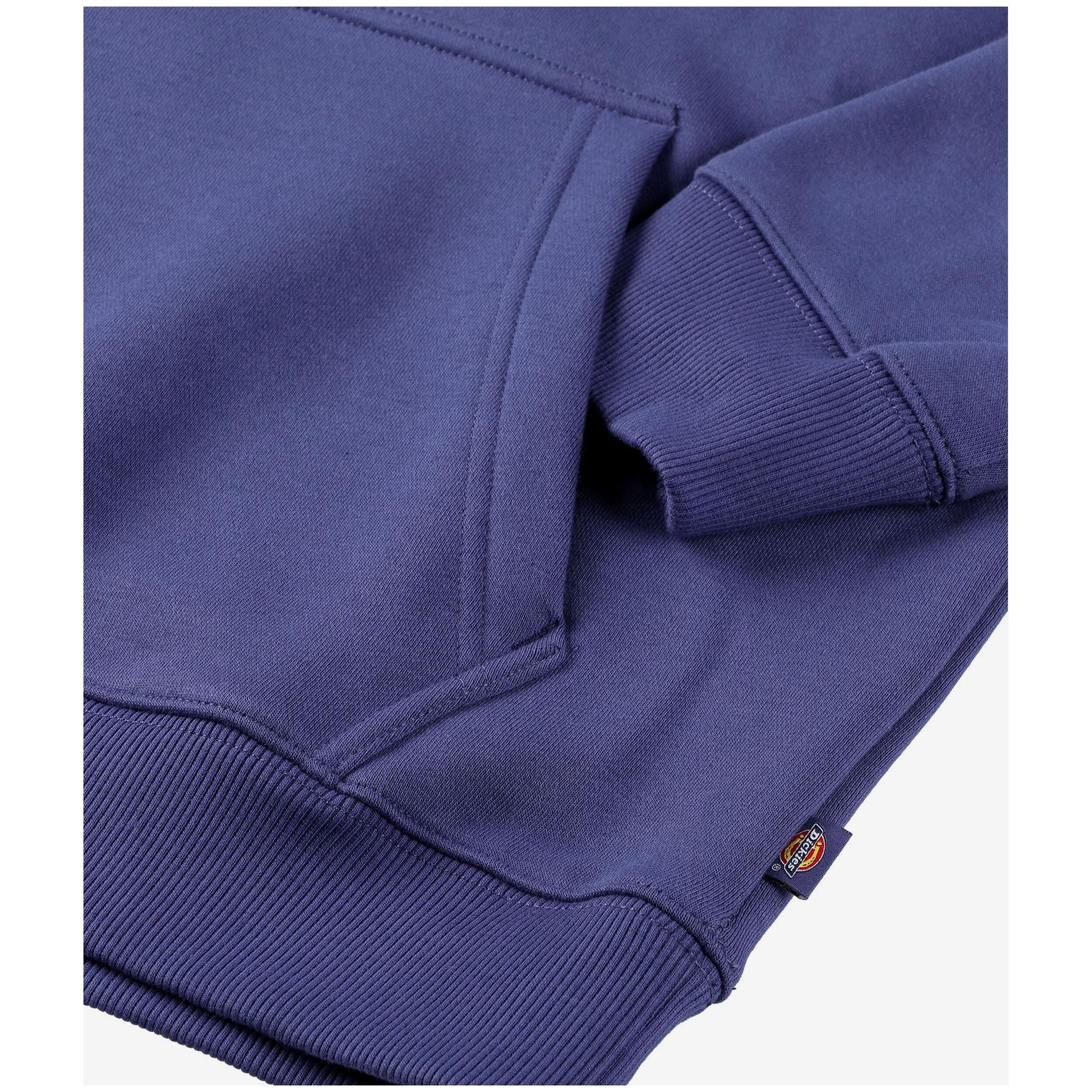 Sweat à capuche Dickies modèle DK0A4XCDK421 pour homme 4/5