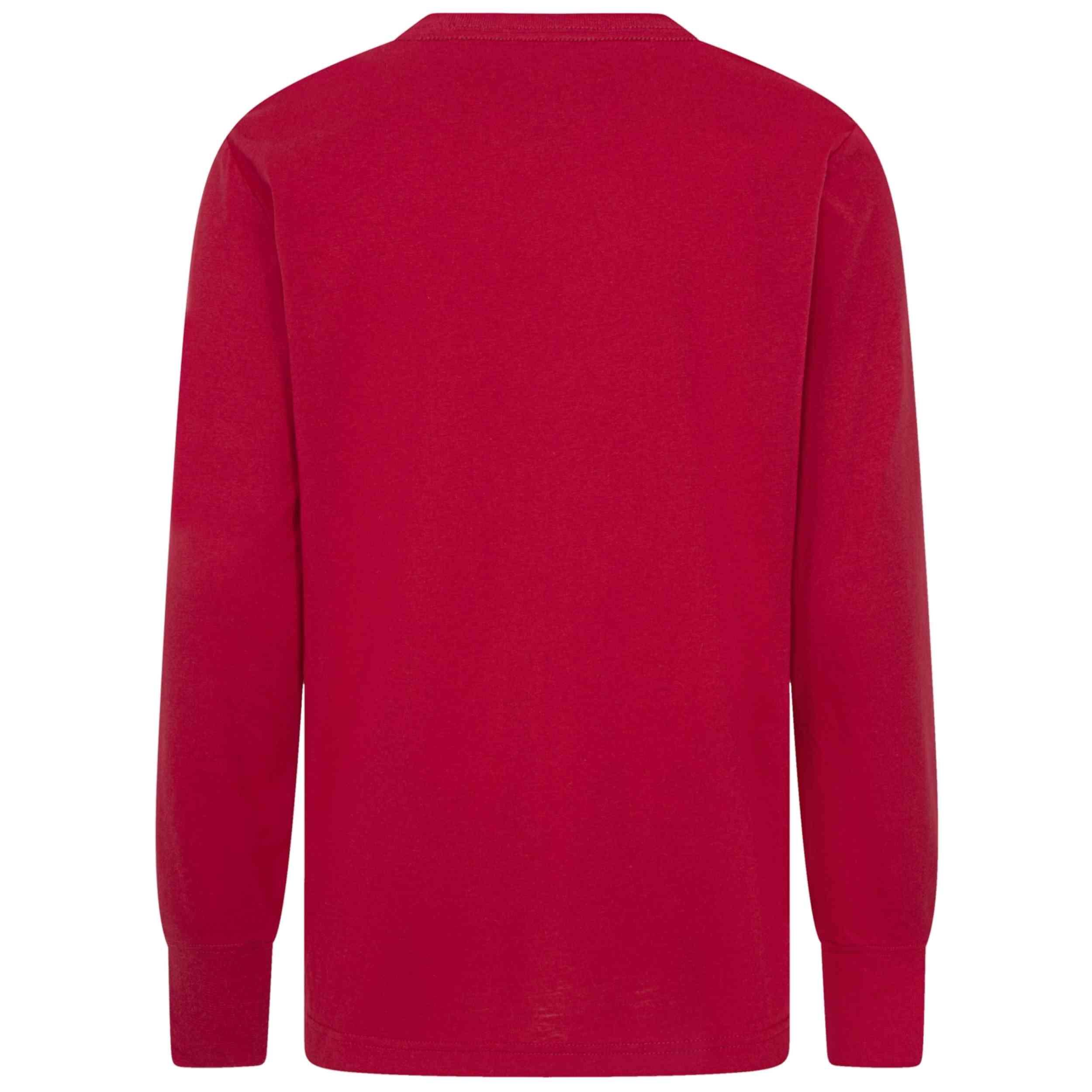 Sudadera Jordan modelo 077-51632609591635 para hombre 2/4