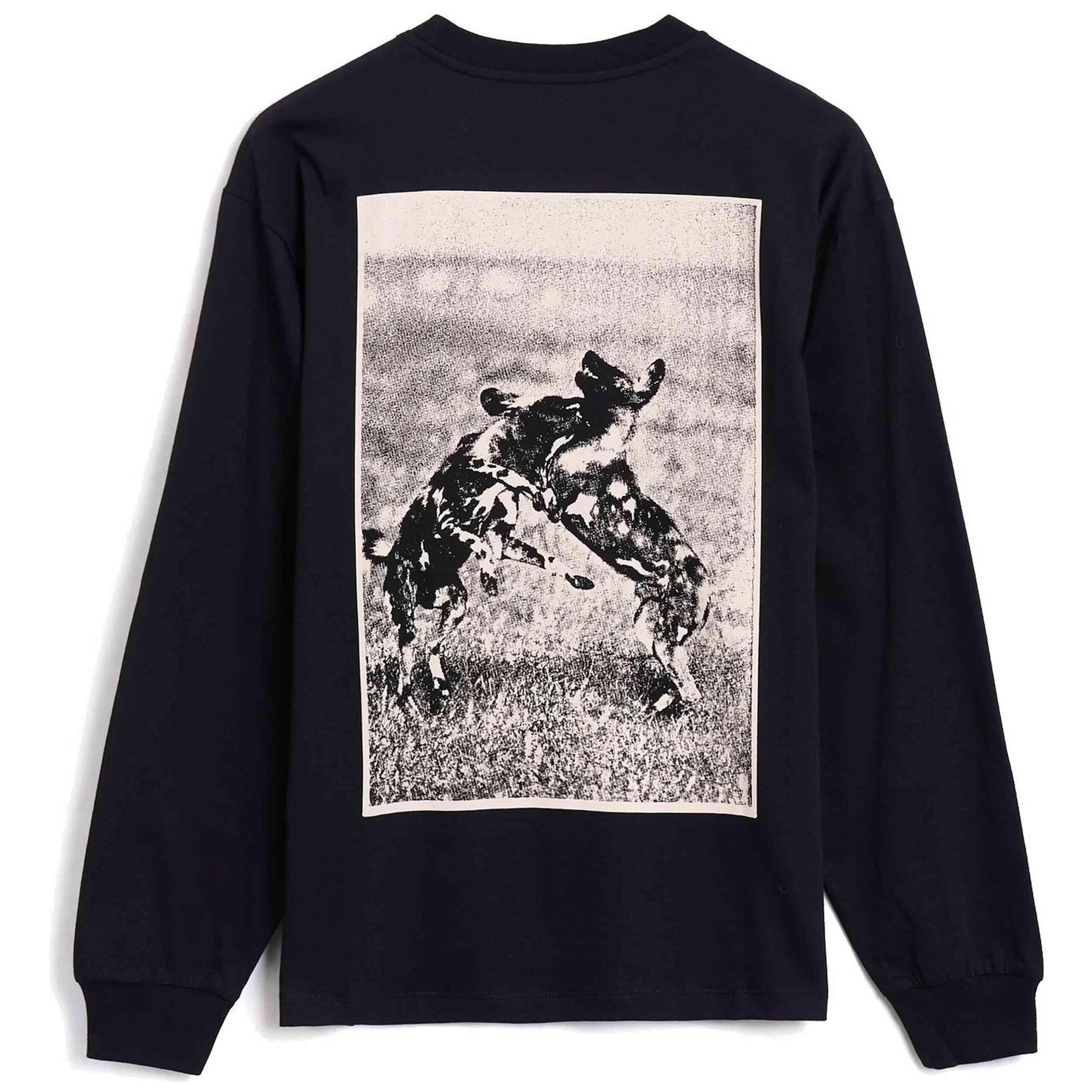 CARHARTT picture