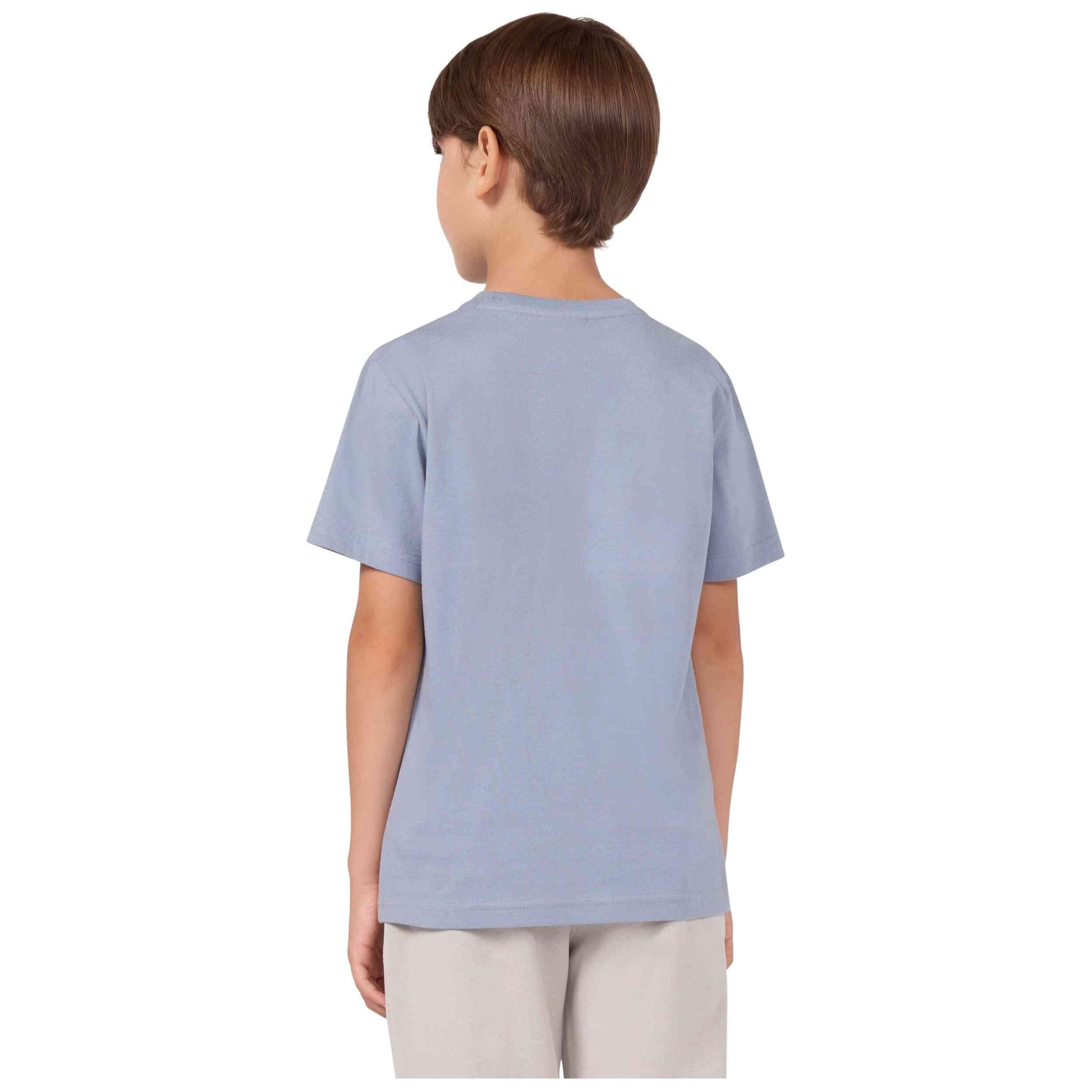 Sweater Champion model 307303-BS202 voor jongens 3/4
