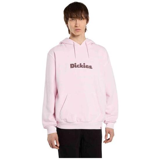 Sweat à capuche Dickies modèle DK0A87NPK731 pour femmes