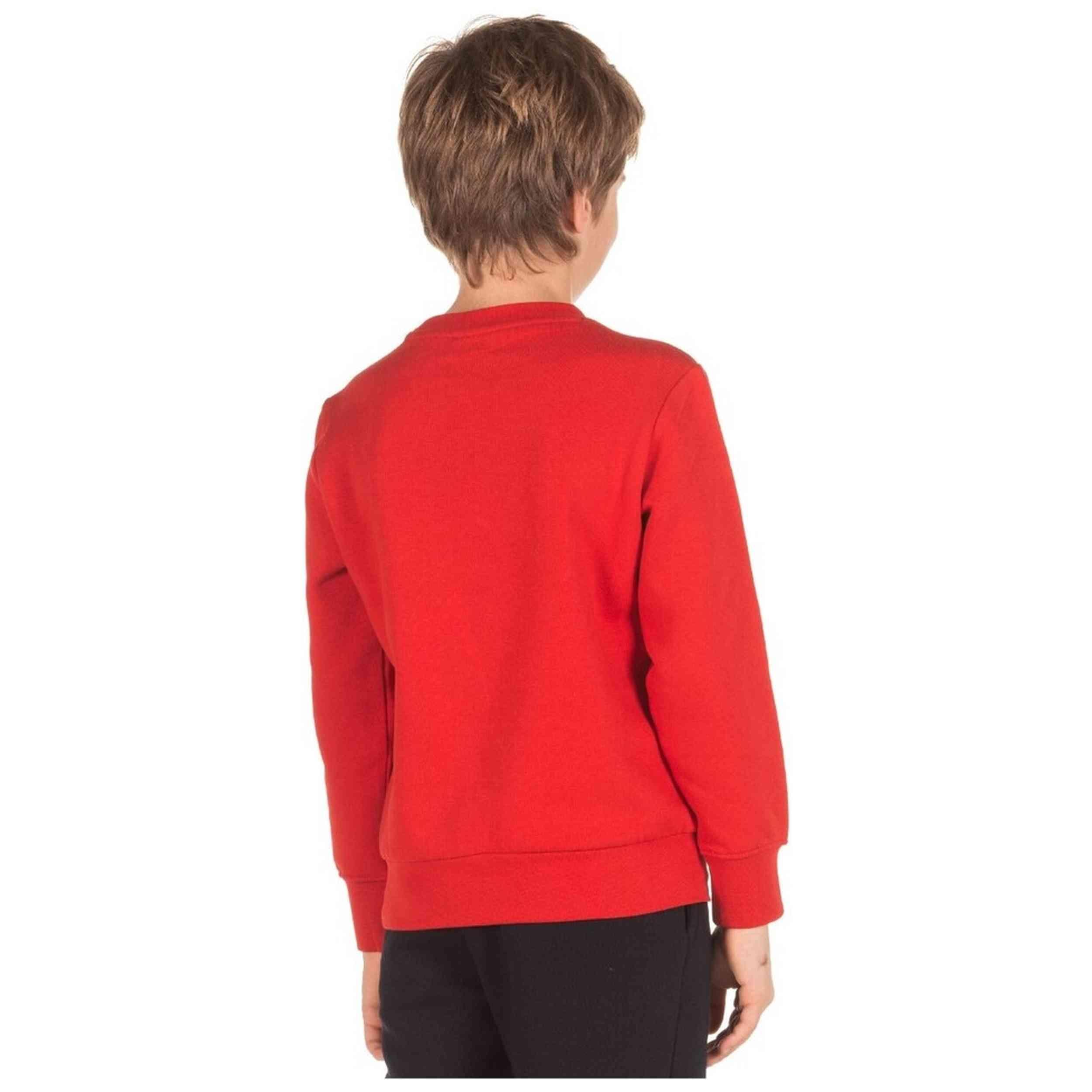 Sweater Champion model 305018-RS018 voor jongens 2/3