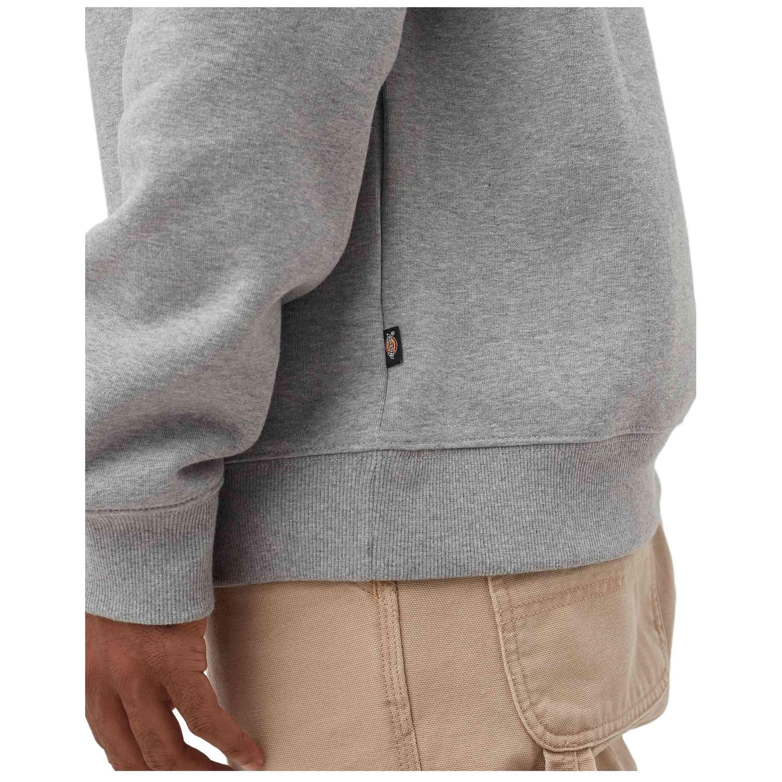 Sweater Dickies model DK0A4XCEGYM1 voor mannen 4/4