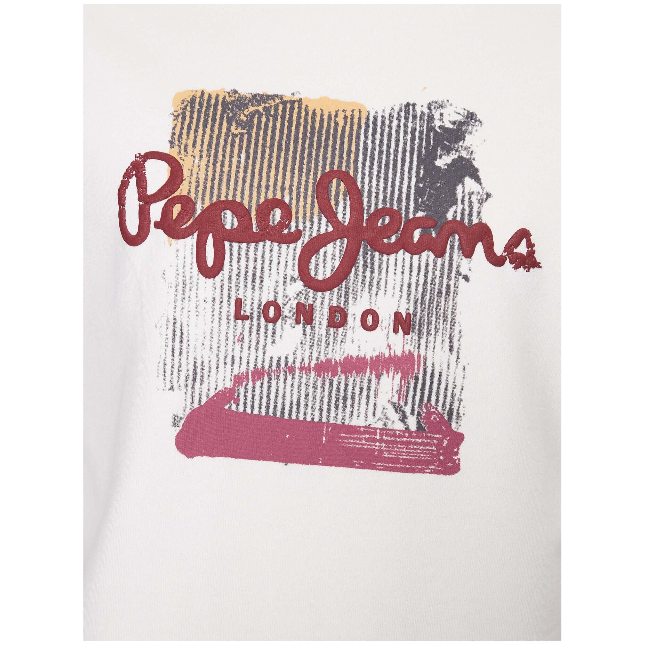 Sudadera Pepe jeans modelo PM582483-803 para hombre 4/5