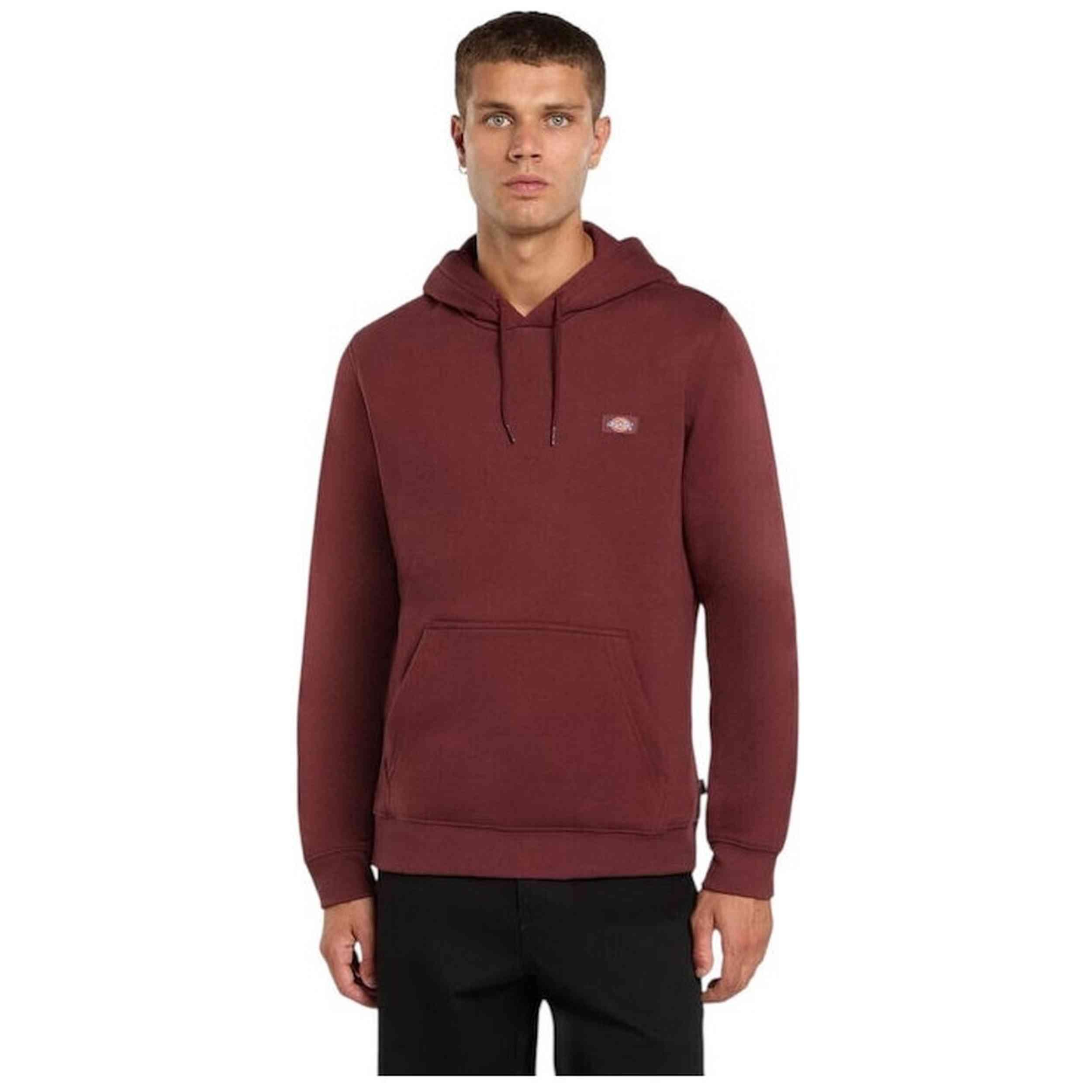 Sweatshirt Dickies modelo DK0A4XCDL161 para homem 1/5