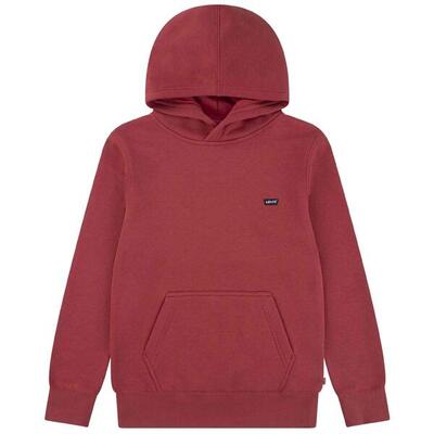 Hoodie levi's model 077-51615469502803 voor unisex jongens