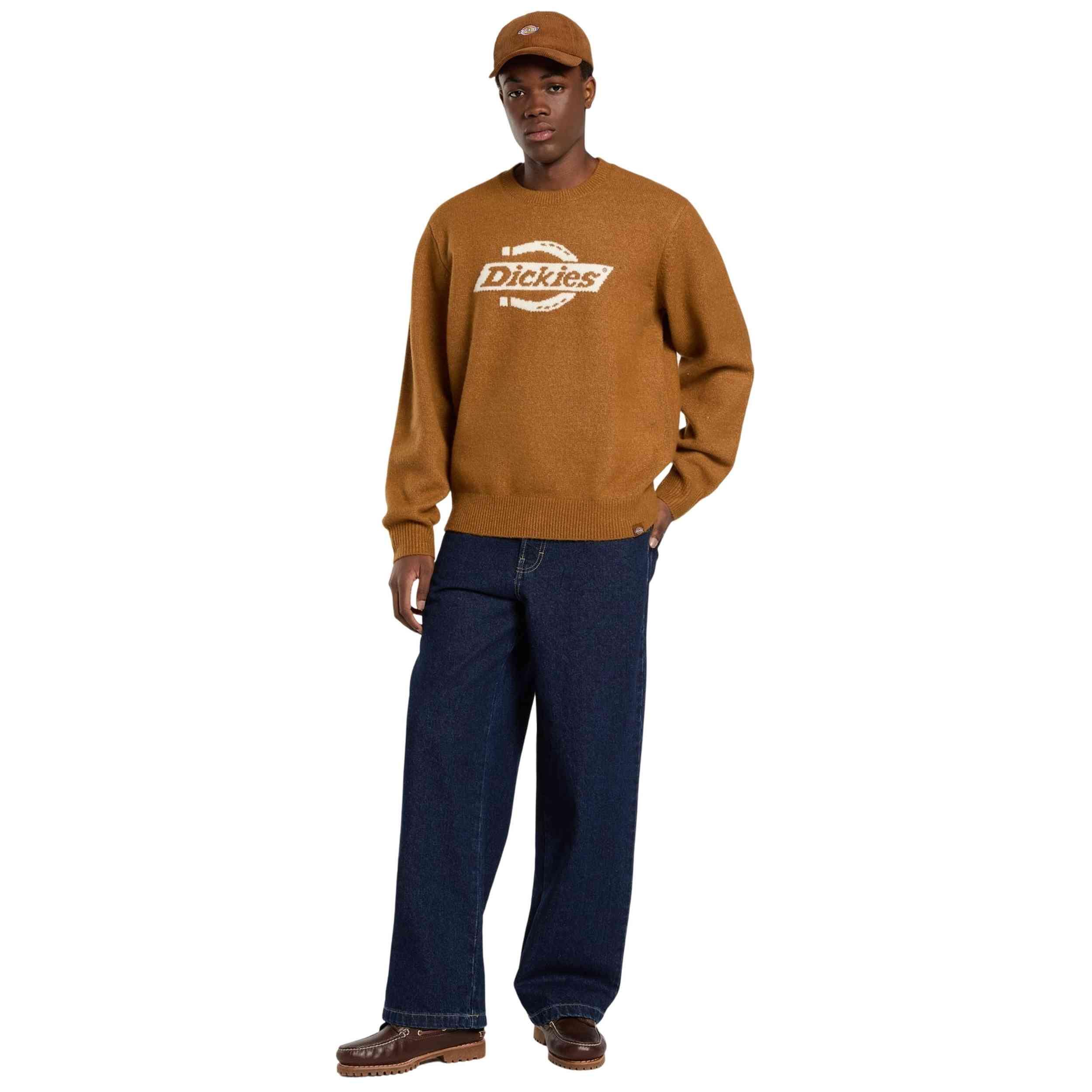 Sweat Dickies modèle DK0A870Q0BD1 pour homme 3/5