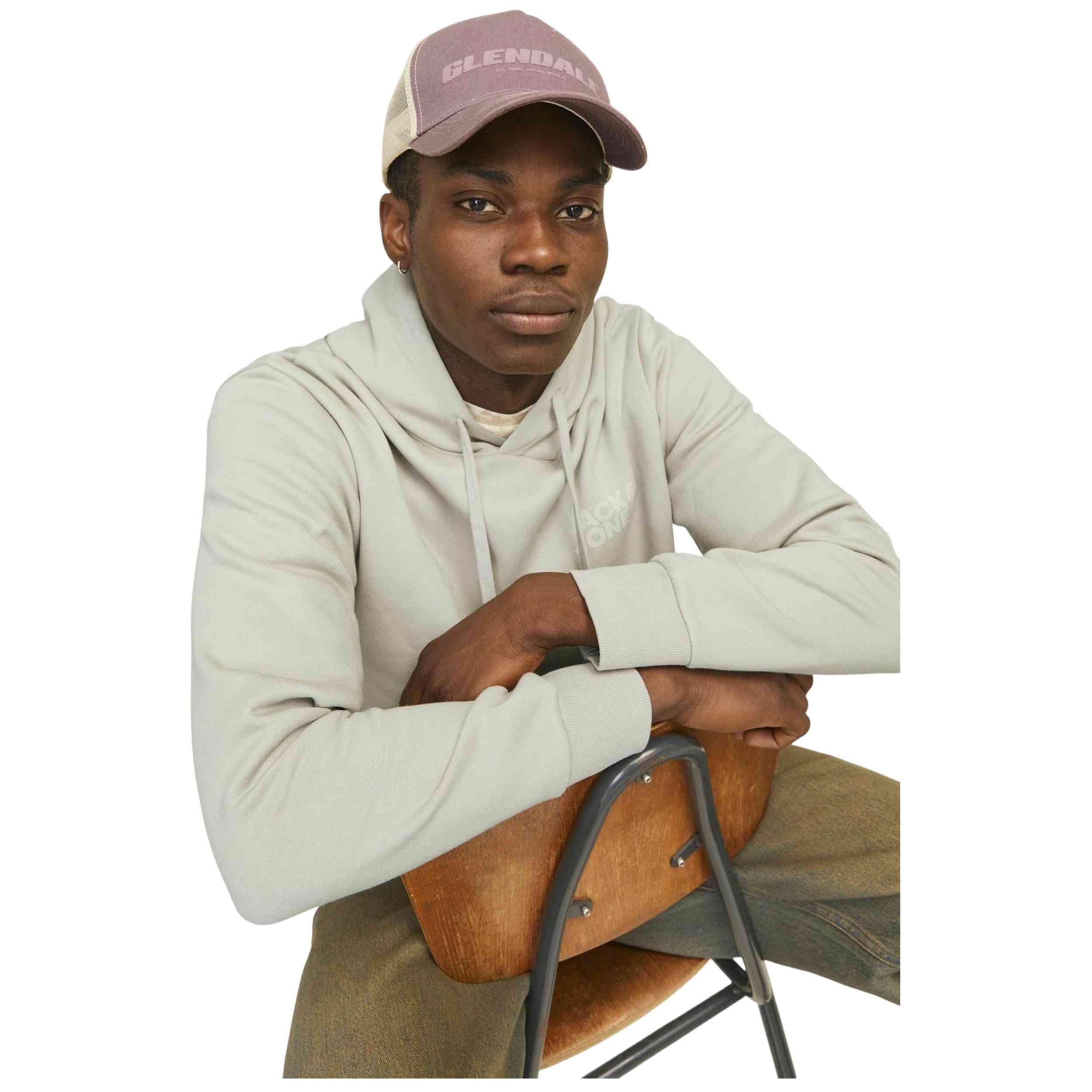 Felpa con cappuccio Jack&jones modello 12152840-MOONBEAM per uomini 5/5