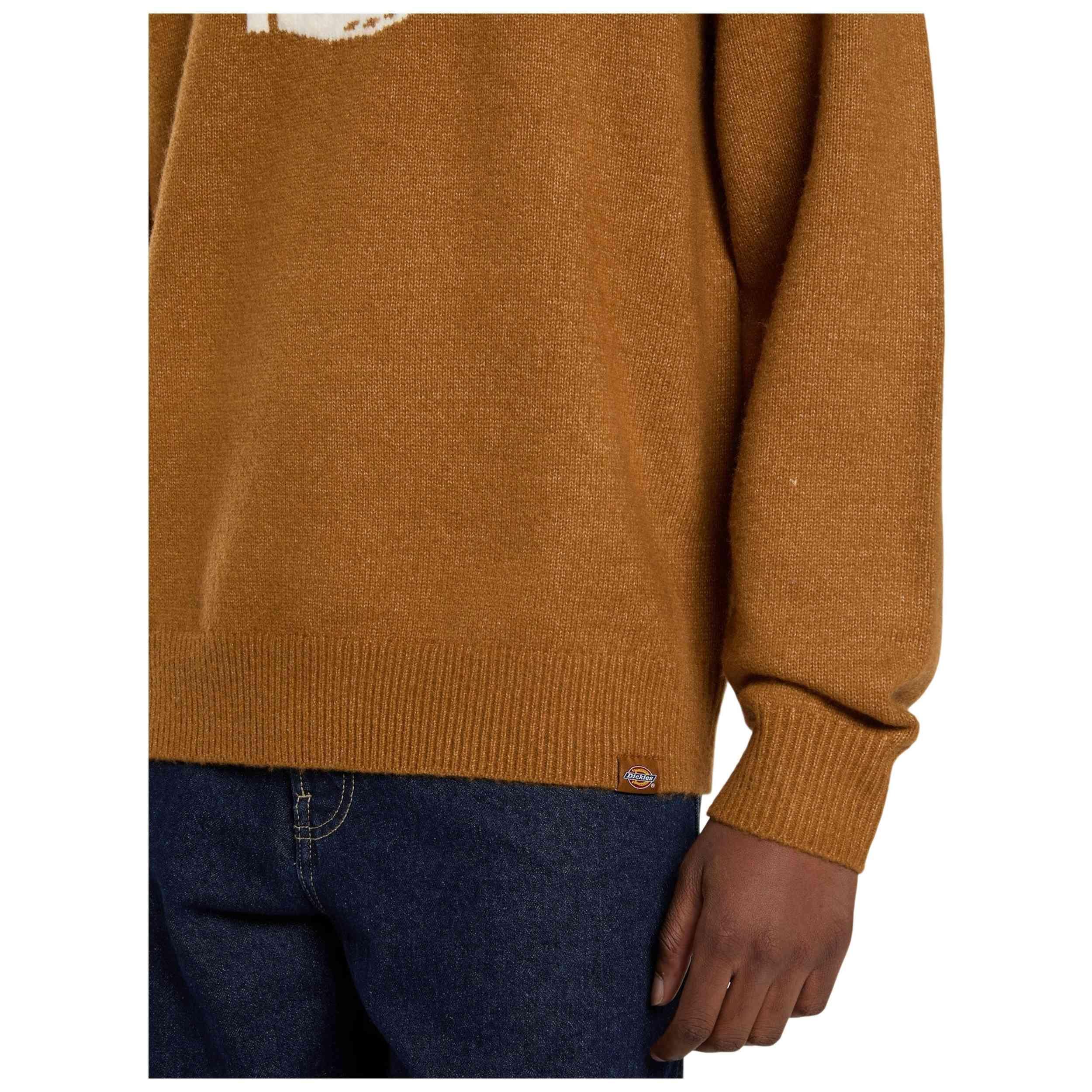 Sweat Dickies modèle DK0A870Q0BD1 pour homme 5/5