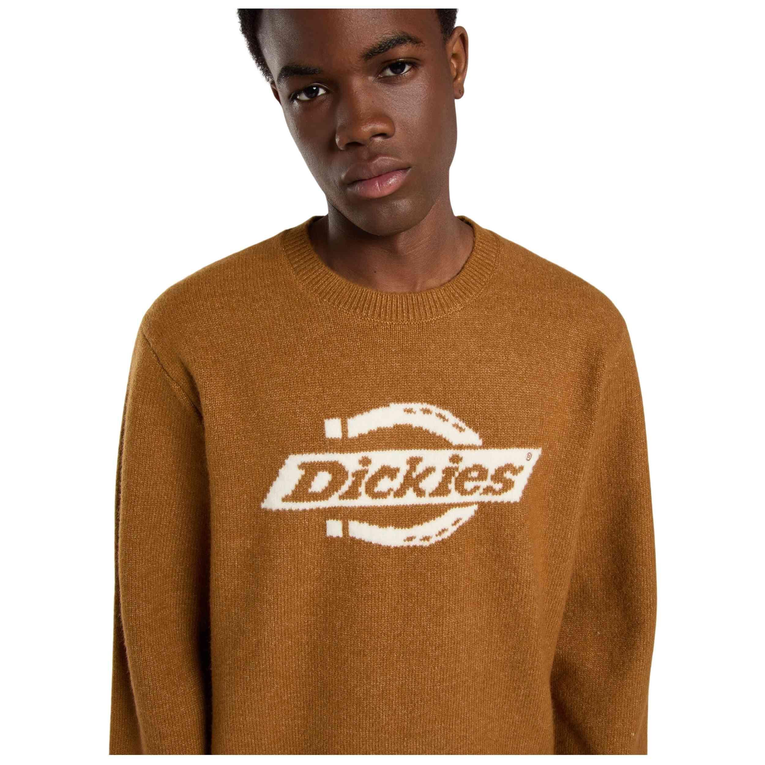 Sweat Dickies modèle DK0A870Q0BD1 pour homme 4/5