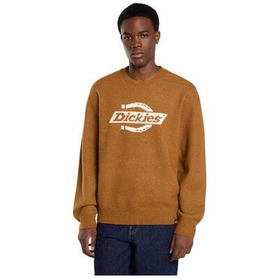 Sweater dickies model dk0a870q0bd1 voor mannen