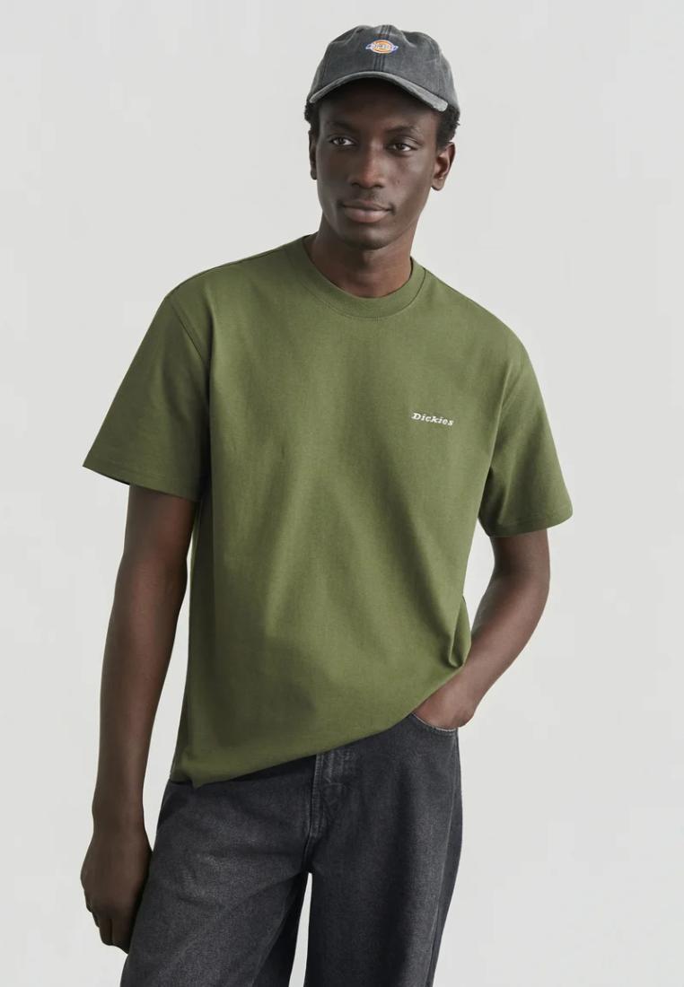 Dickies T-shirt Loretto Uomo DK0A89ENK721 1/5