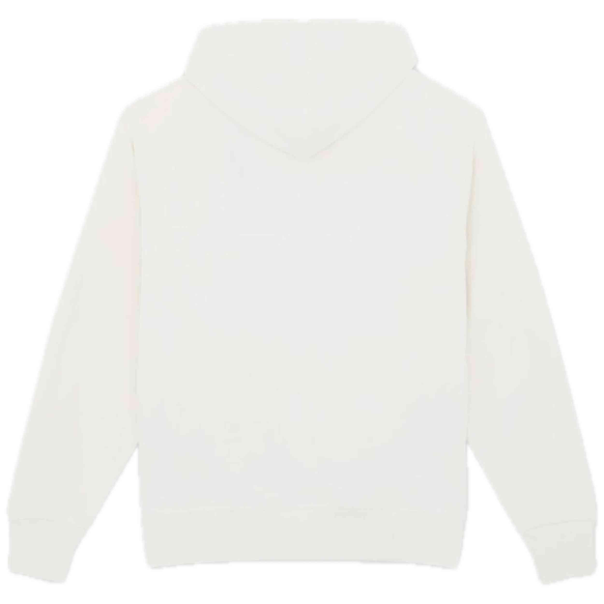 Felpa con cappuccio Dickies modello DK0A87N0C481 per uomini 2/5