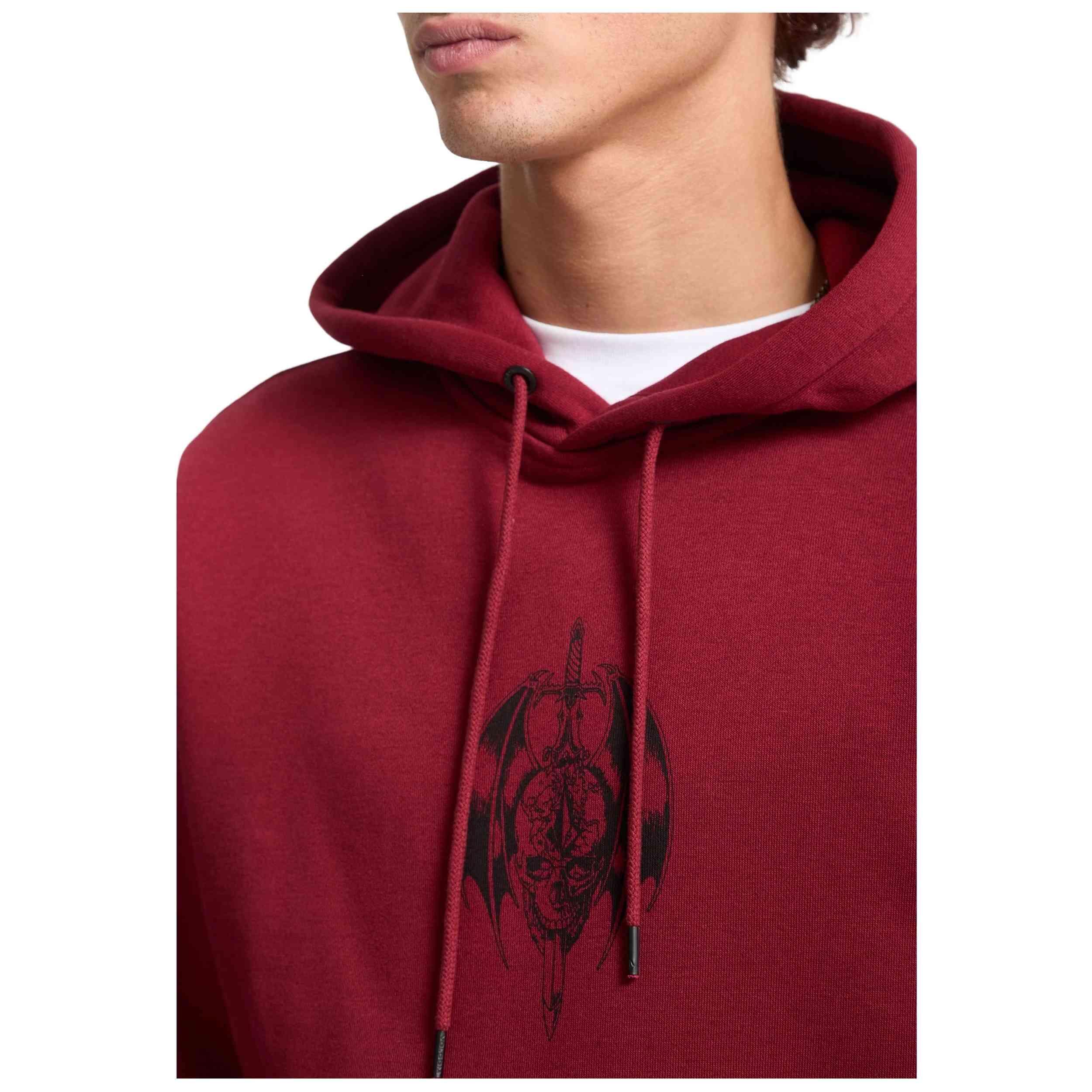 Sweat à capuche Volcom modèle A4132506-PPR pour homme 5/5