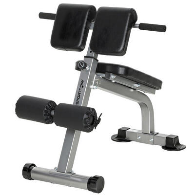 SPORTNOW Panca Romana Regolabile e Pieghevole con Capacità 150 kg Argento