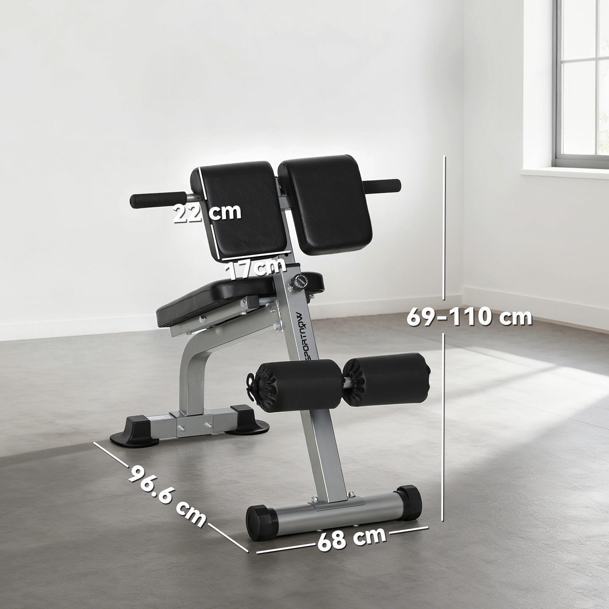 SPORTNOW Panca Romana Regolabile e Pieghevole con Capacità 150 kg Argento 3/8