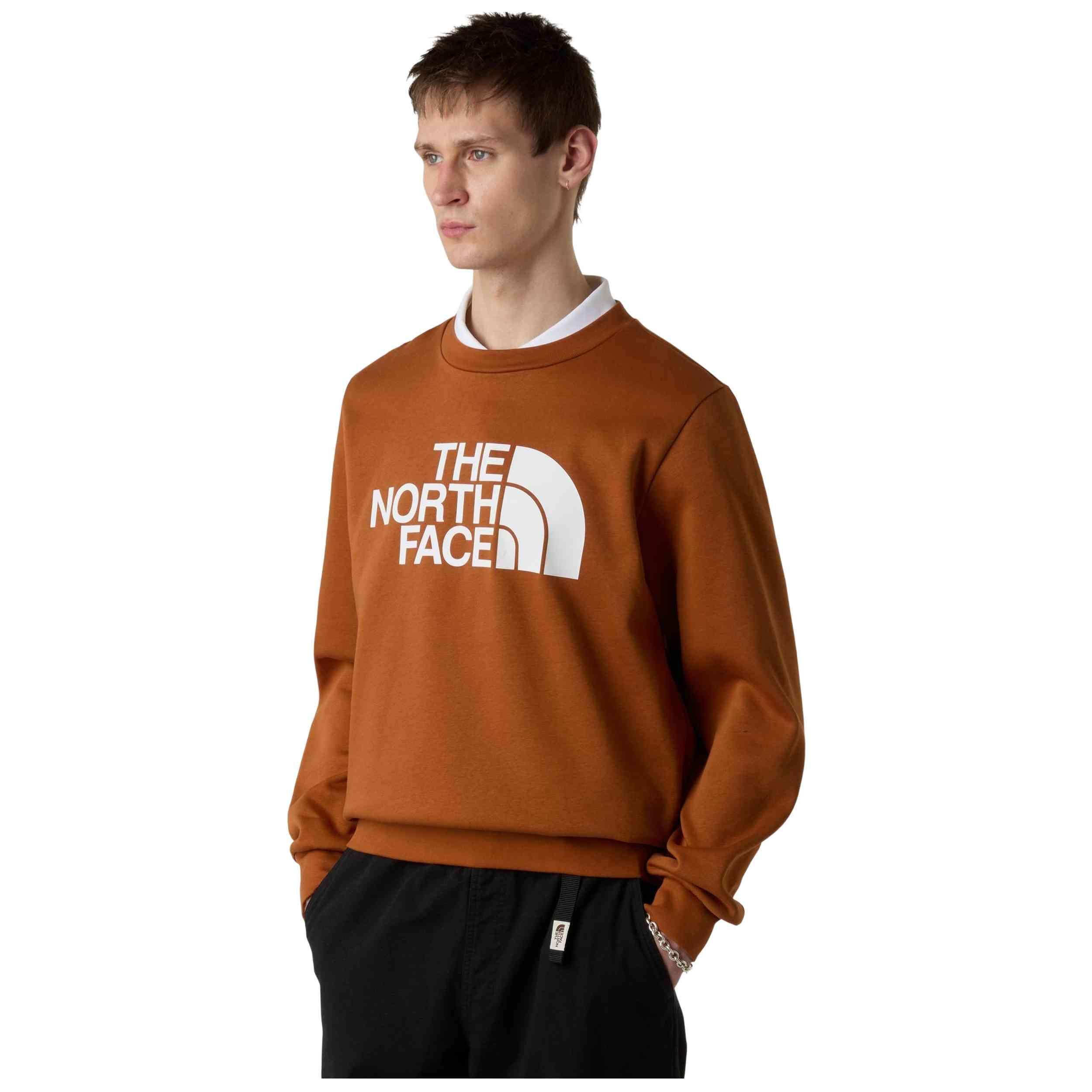 Felpa The north face modello NF0A89FGBOE1 per uomini 3/5
