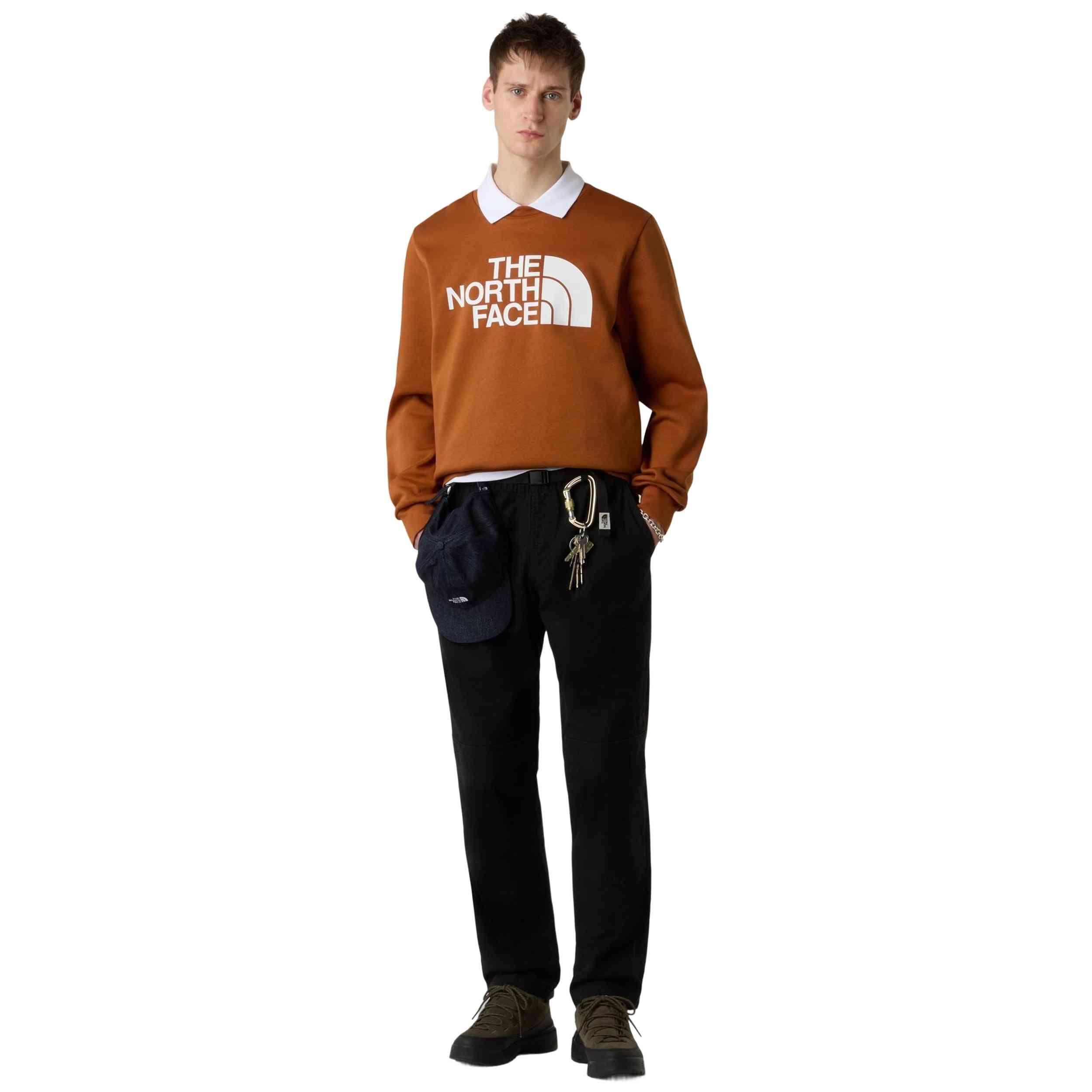 Felpa The north face modello NF0A89FGBOE1 per uomini 5/5