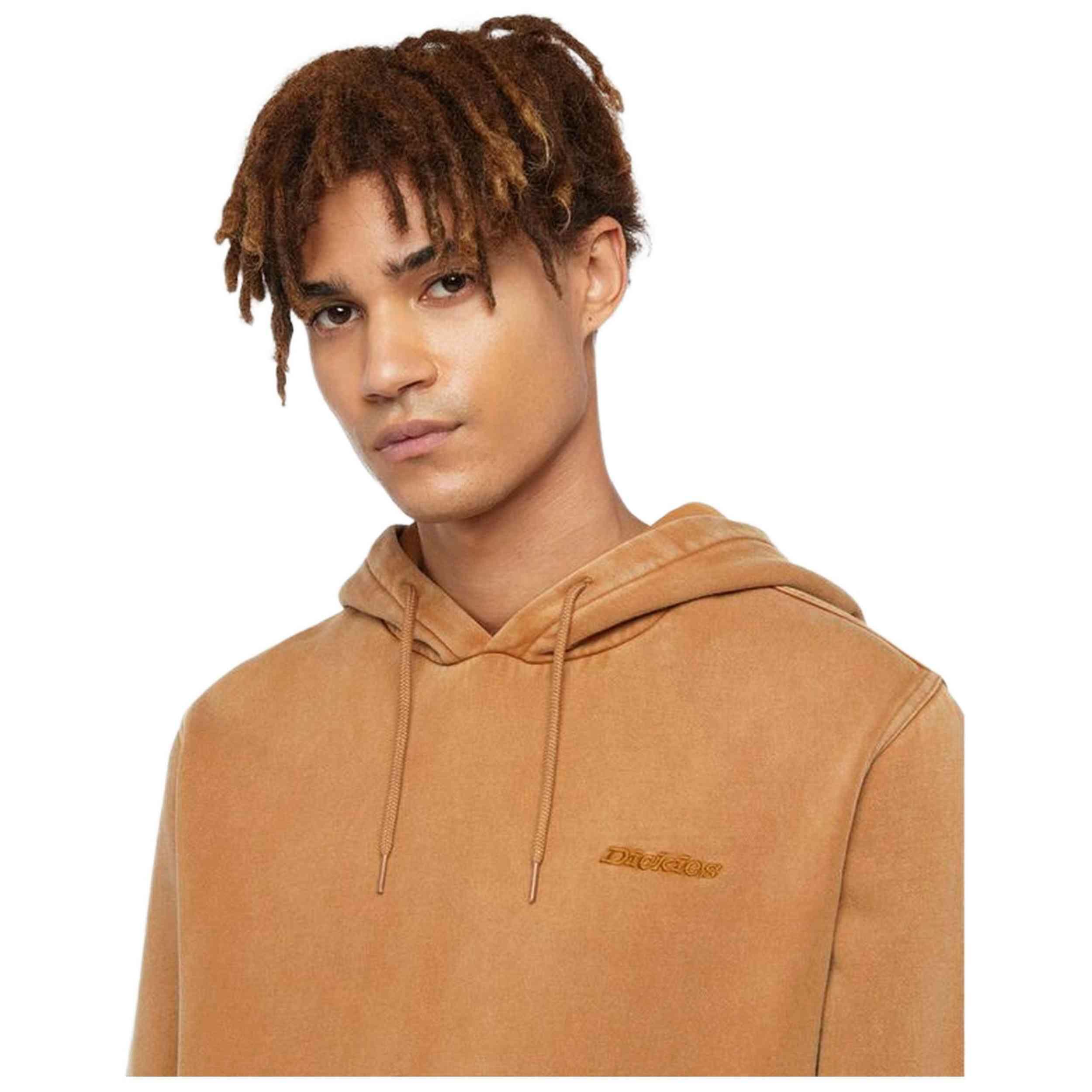 Felpa con cappuccio Dickies modello DK0A866D0BD1 per uomini 3/5