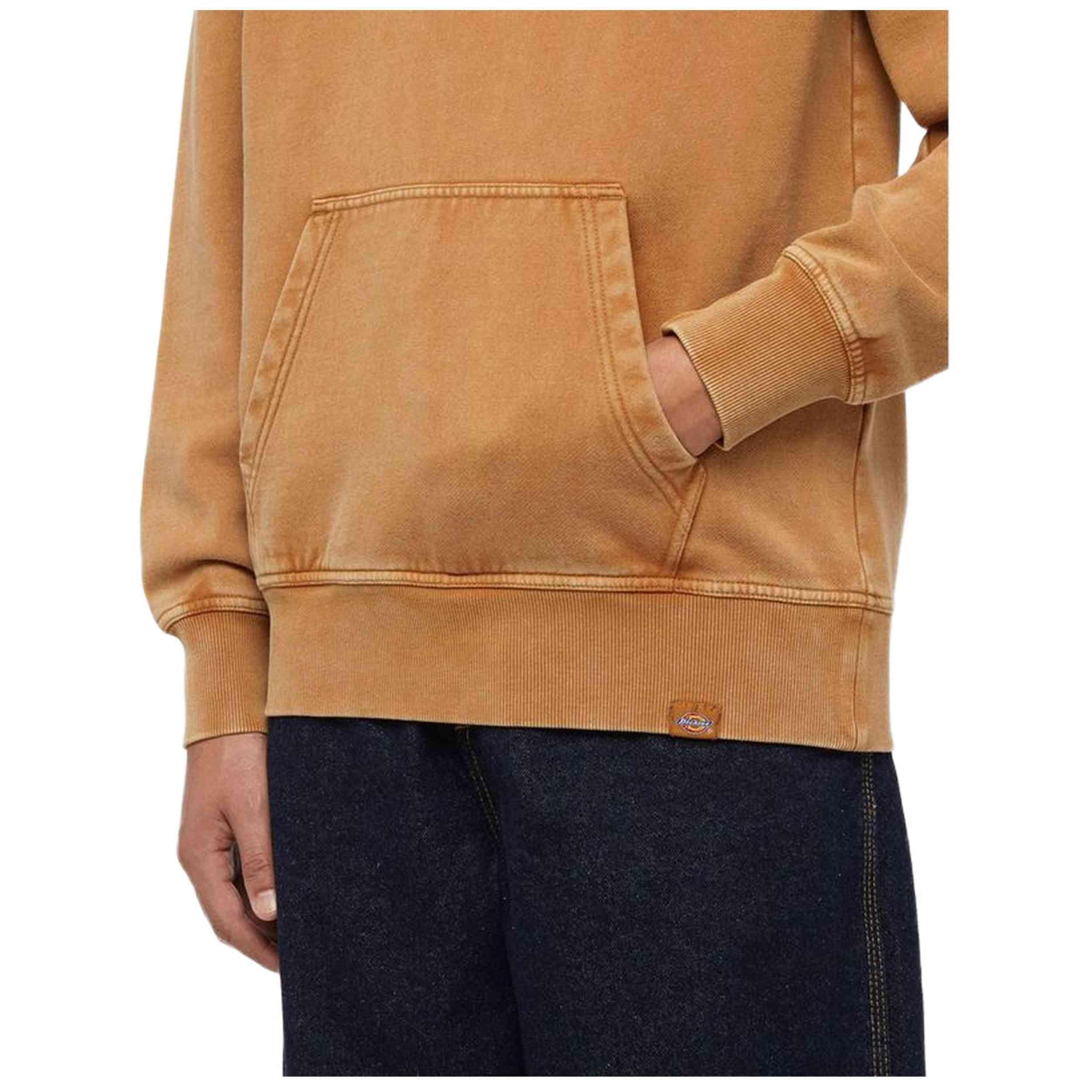 Felpa con cappuccio Dickies modello DK0A866D0BD1 per uomini 4/5