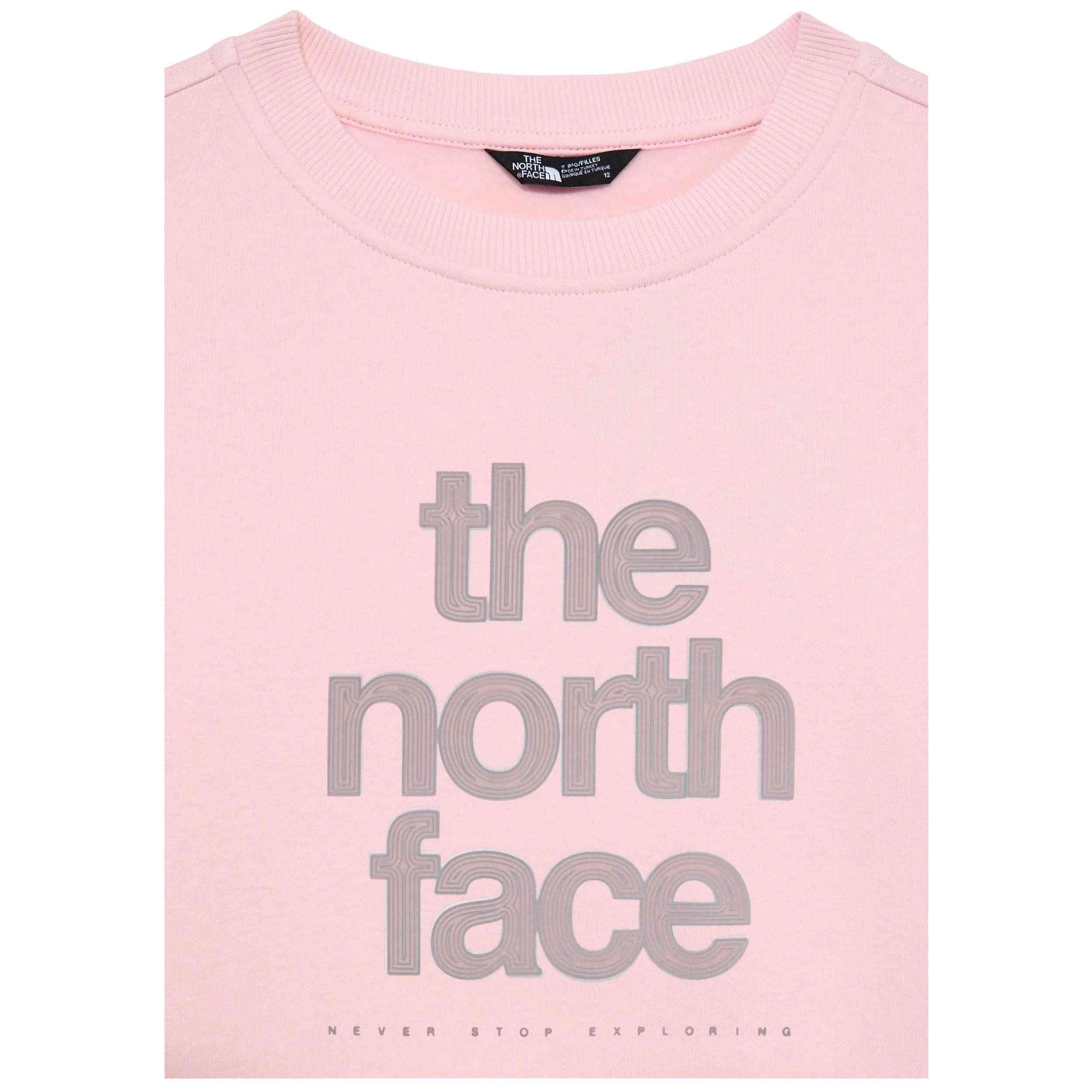 Felpa The north face modello 077-52576934527315 per uomini 3/3