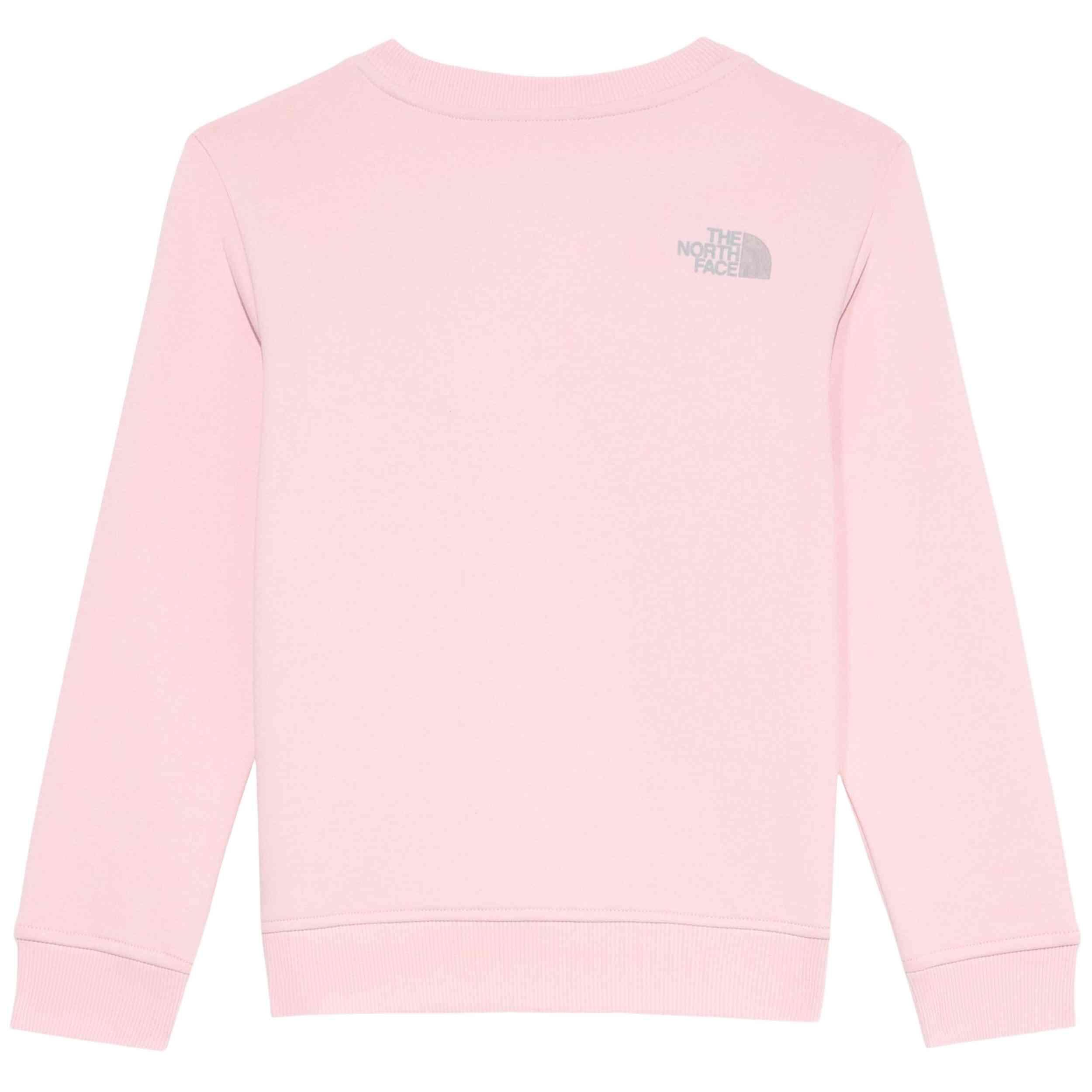 Felpa The north face modello 077-52576934527315 per uomini 2/3