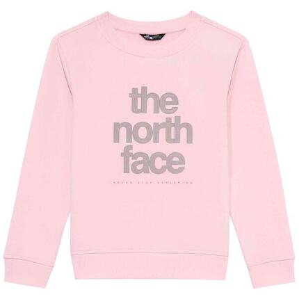 Sweat The north face modèle 077-52576934527315 pour homme