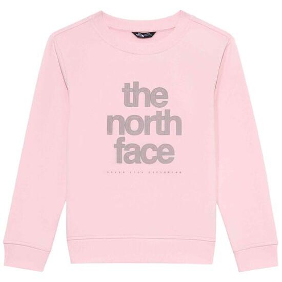 Sweat The north face modèle 077-52576934527315 pour homme