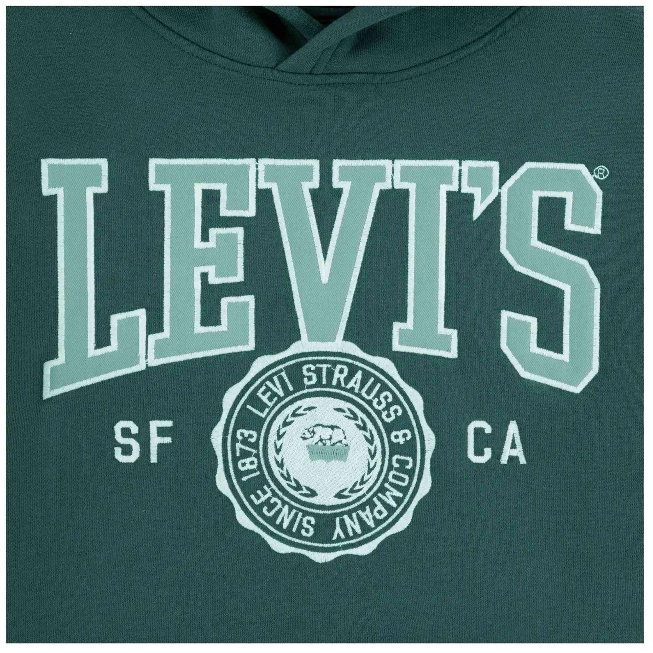 Hoodie Levi's model 9EL508-C87 voor jongens 3/5