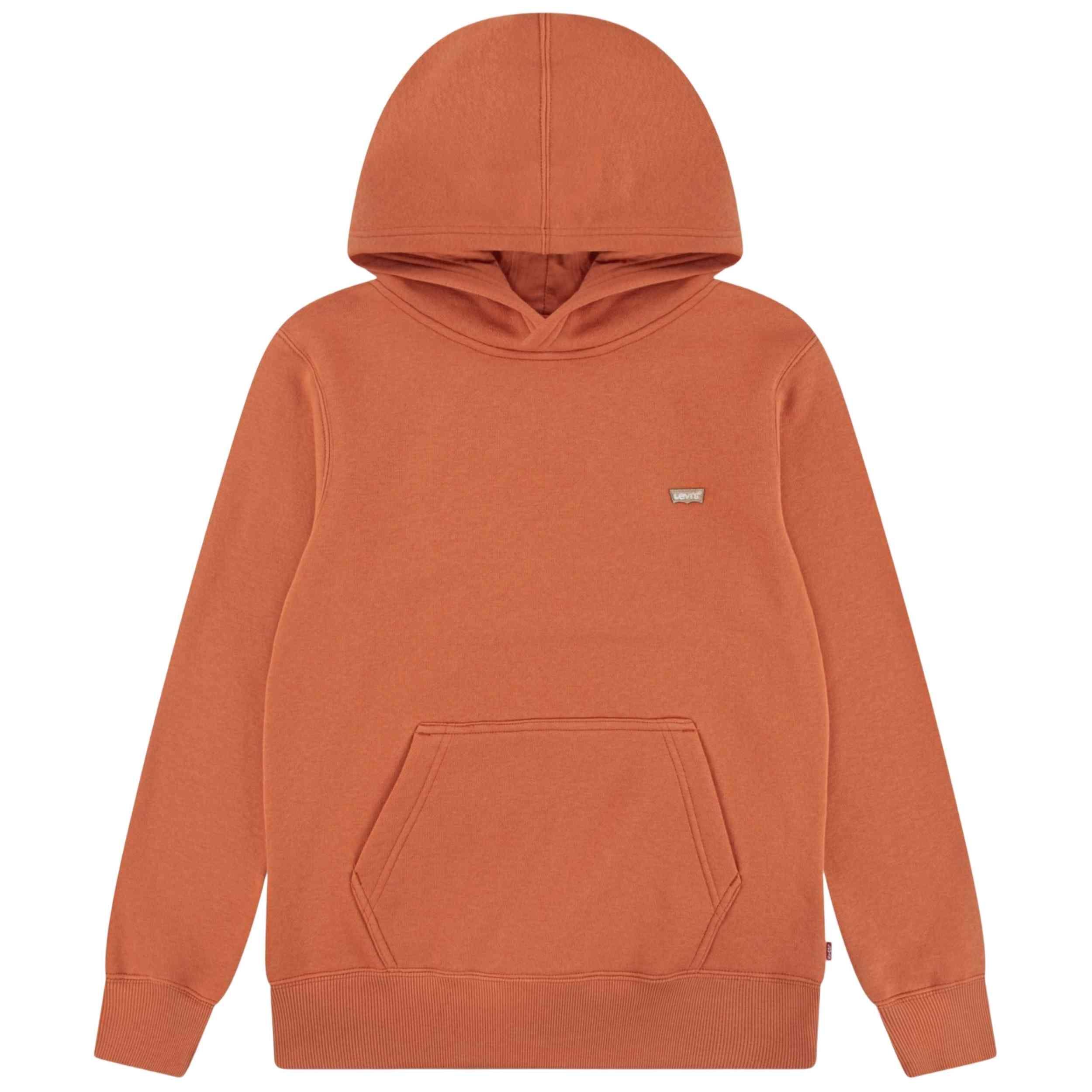 Sudadera con capucha Levi's modelo 9EL452-N98 para niños 1/2