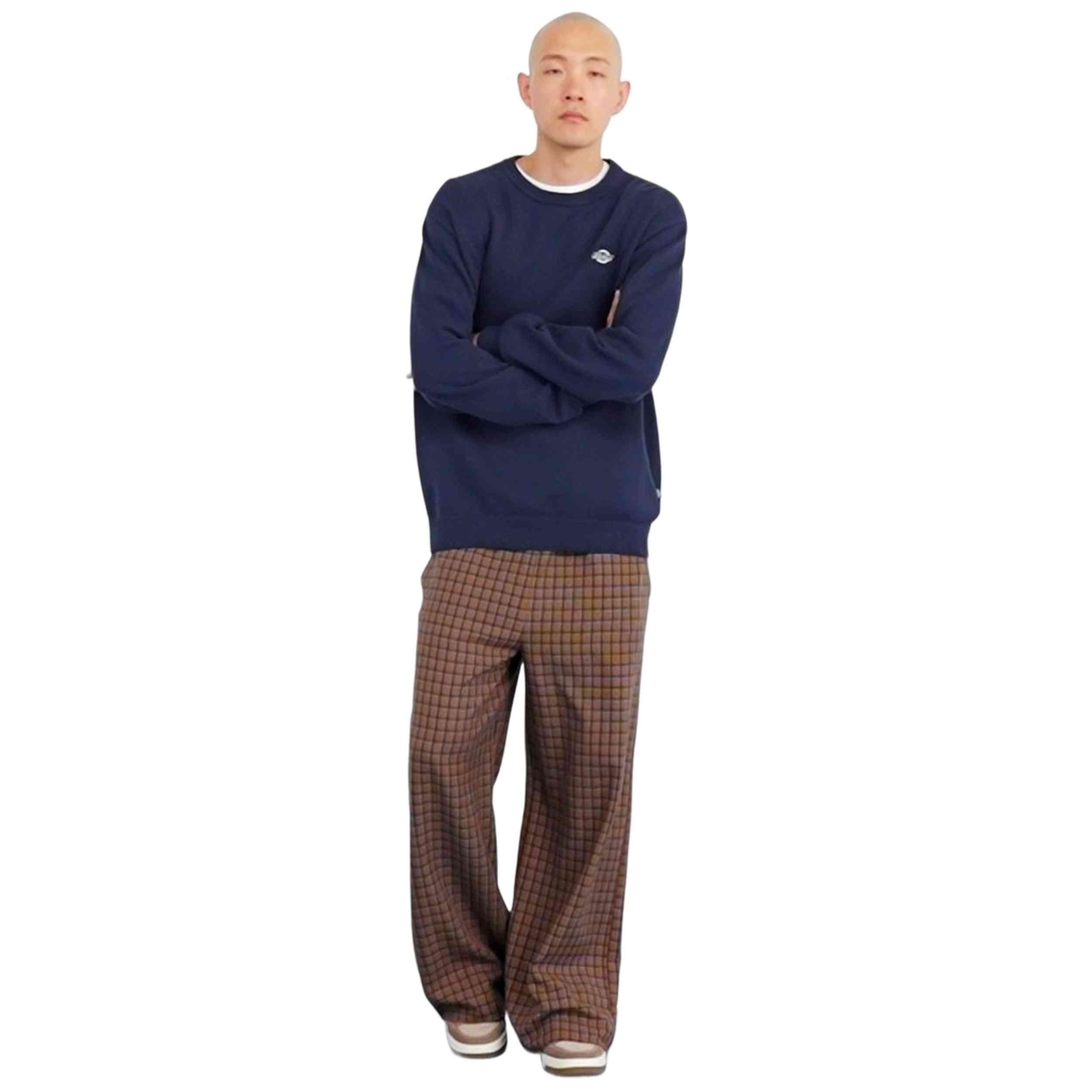 Sweatshirt Dickies Modell DK0A87OPL181 für männer 2/5