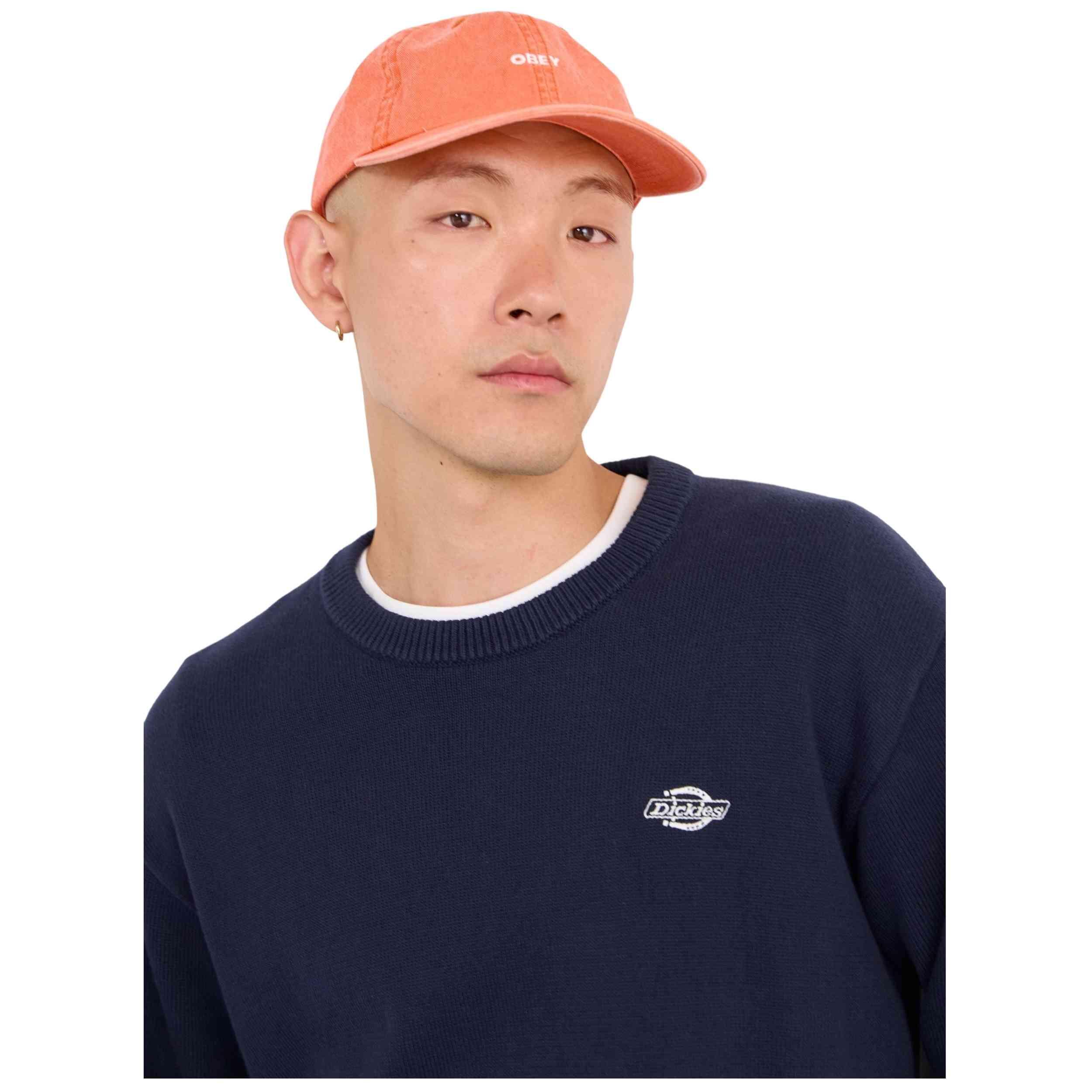 Sweatshirt Dickies Modell DK0A87OPL181 für männer 5/5