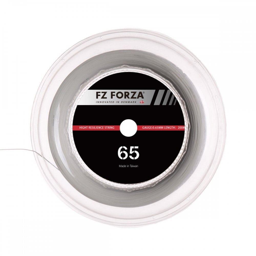 FORZA picture