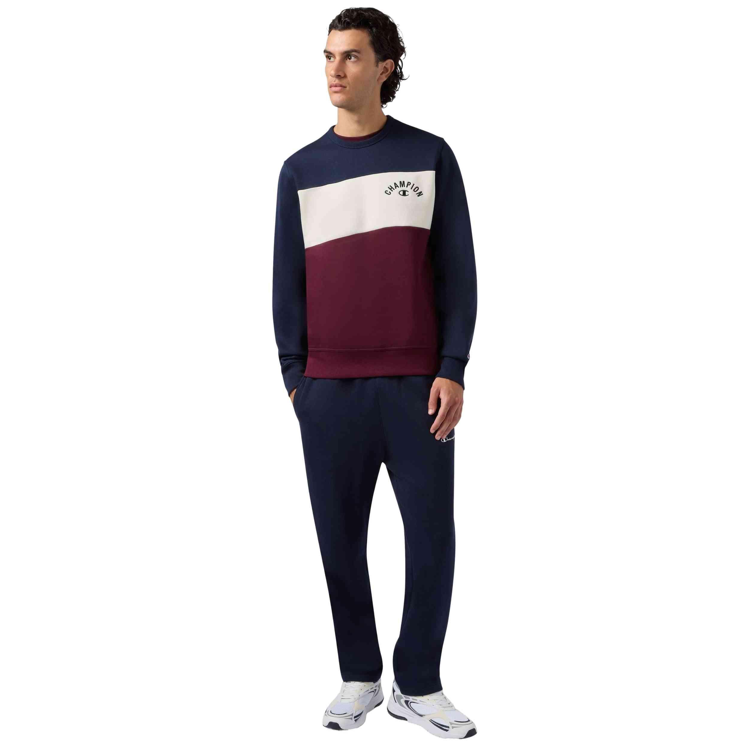 Sweat Champion modèle 221228-BS501 pour homme 2/4