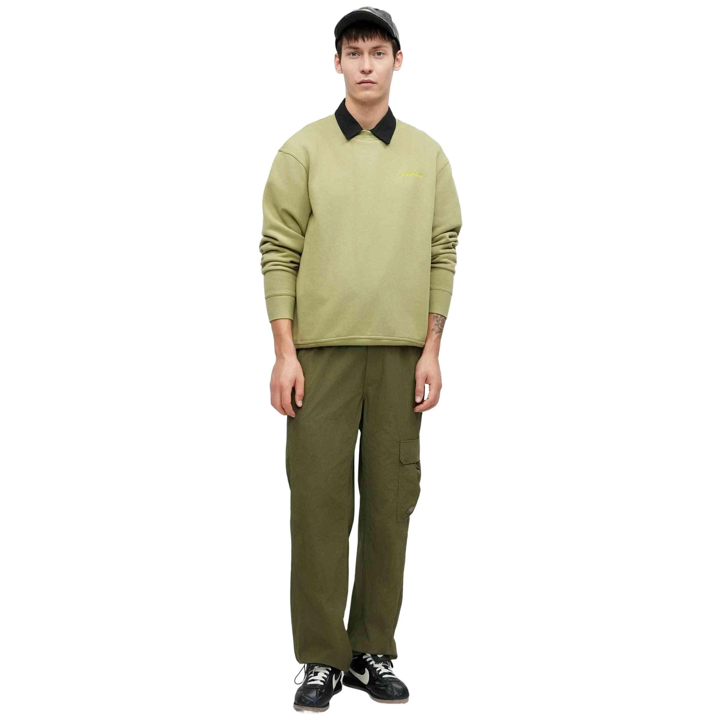 Felpa Dickies modello DK0A864HL201 per uomini 3/5