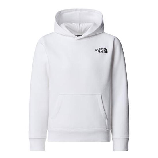 Felpa con cappuccio The north face modello 077-52358214713683 per uomini