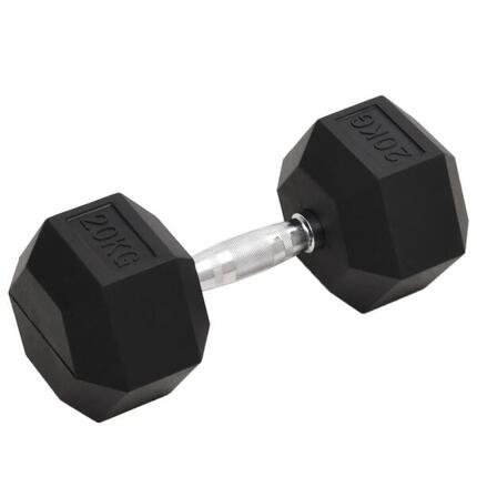VidaXL Halter 20 kg met rubberlaag
