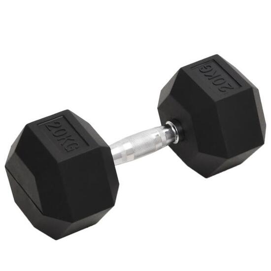 VidaXL Halter 20 kg met rubberlaag