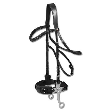 Reittrensen für Pferde Waldhausen X-Line Hackamore