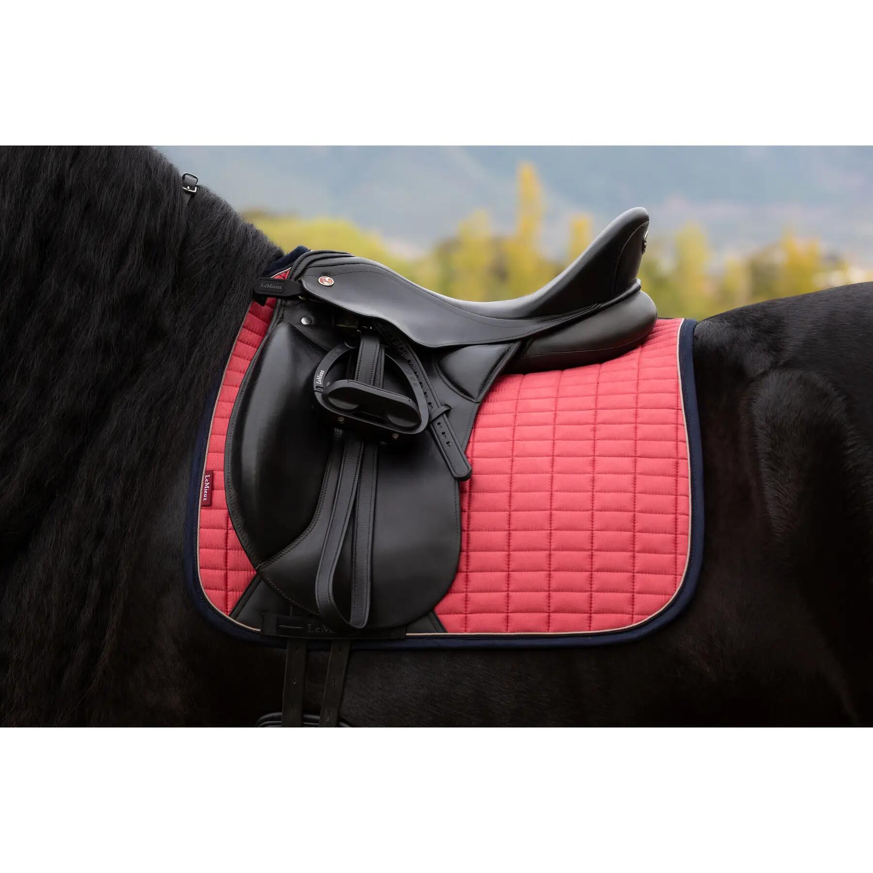 Dressur Schabracke LeMieux Suede Square 4/7