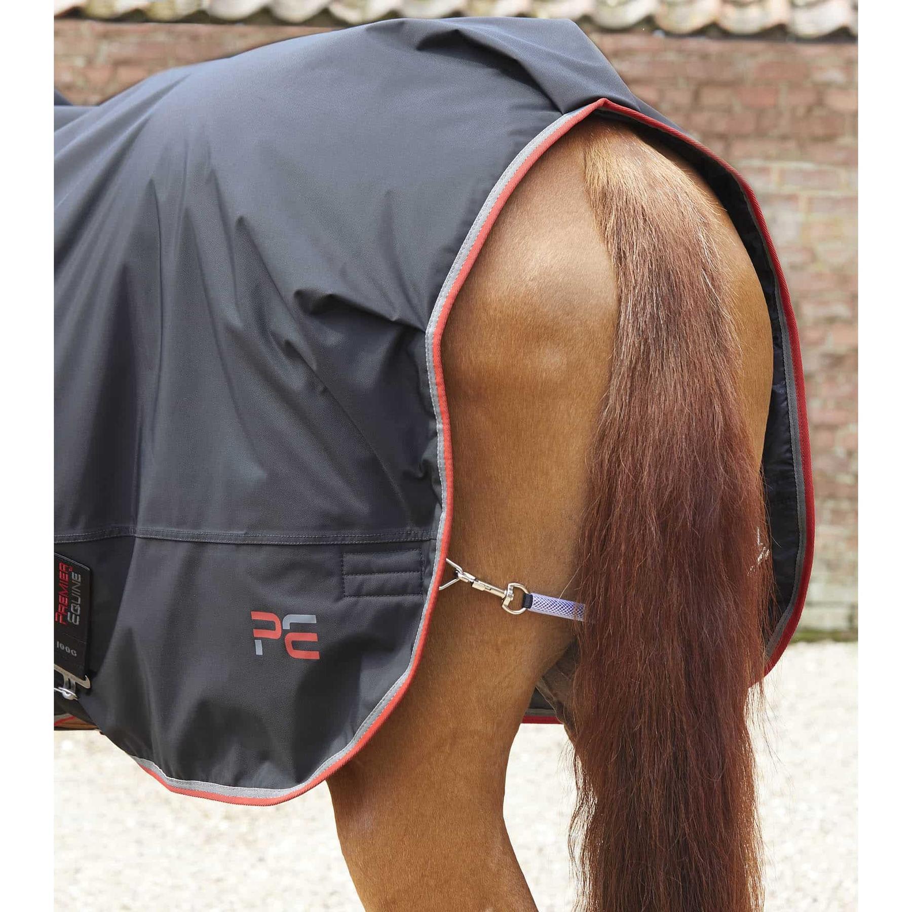 Coperta per cavalli Premier Equine 100 g 6/6