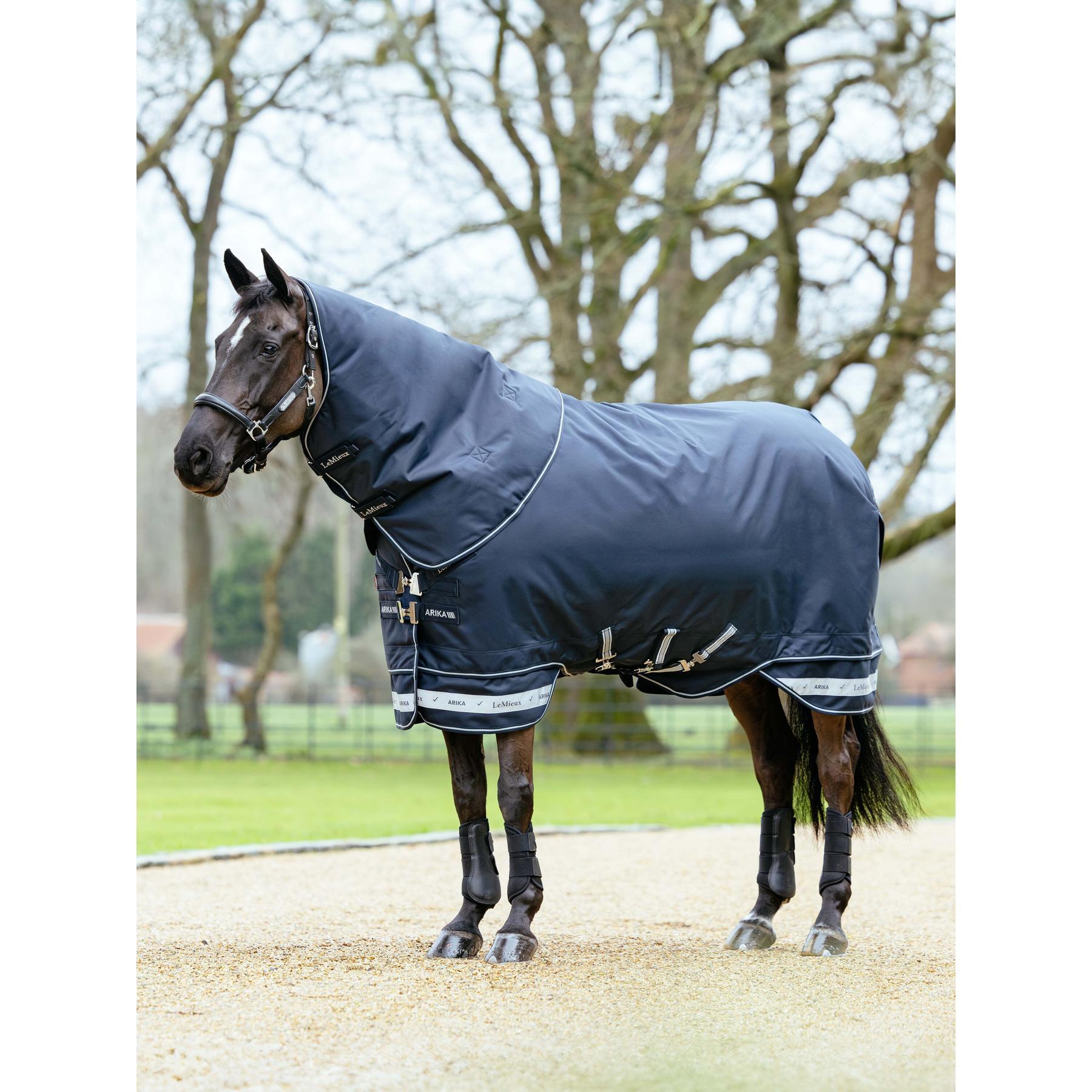 Couverture d'extérieur pour cheval imperméable LeMieux Arika Storm-Tek 350g 3/5