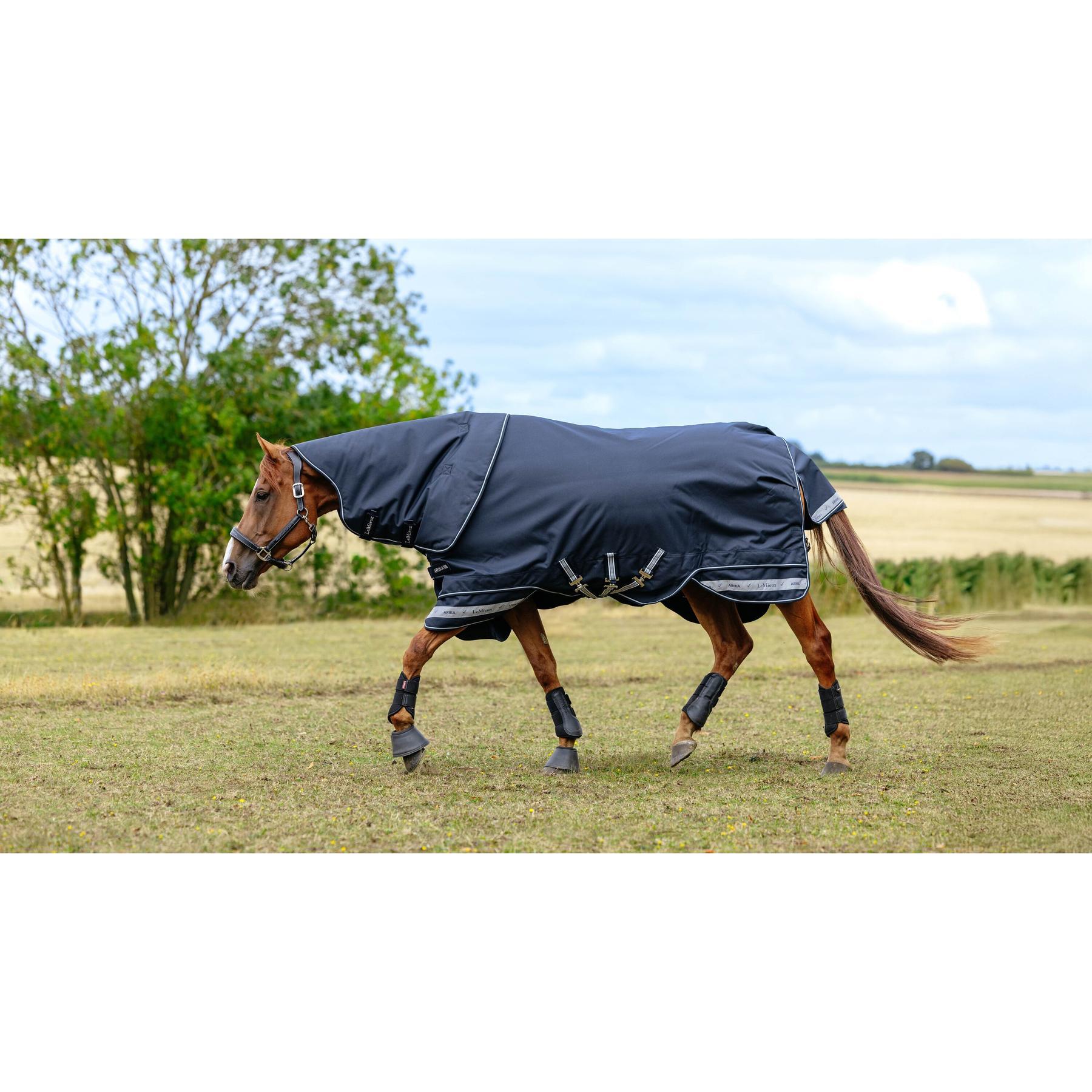 Couverture d'extérieur pour cheval imperméable LeMieux Arika Storm-Tek 350g 2/5