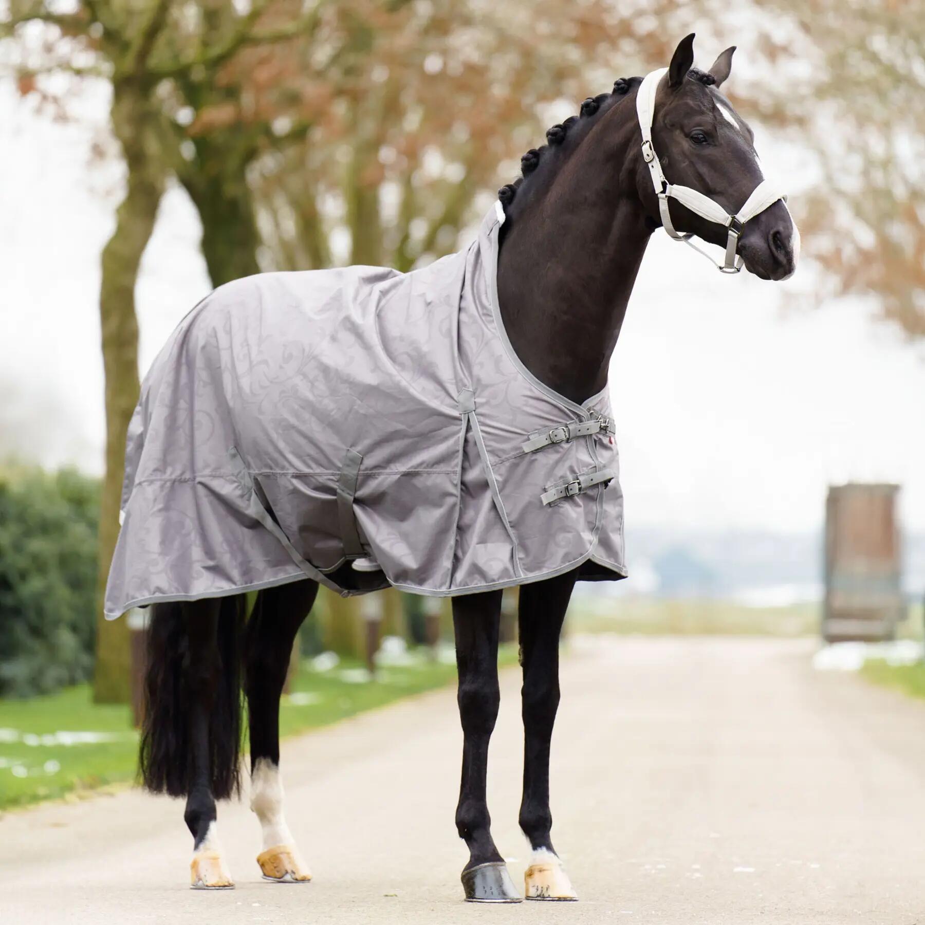 Manta de exterior para caballos Imperial Riding Super-dry 200g 3/5