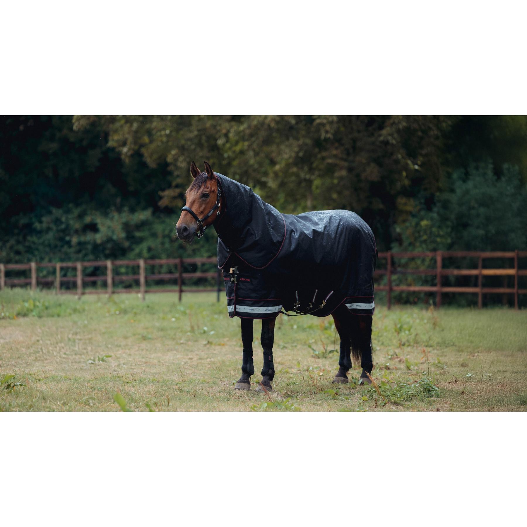Waterdichte paardendeken LeMieux Arika Storm-Tek 350g 3/5