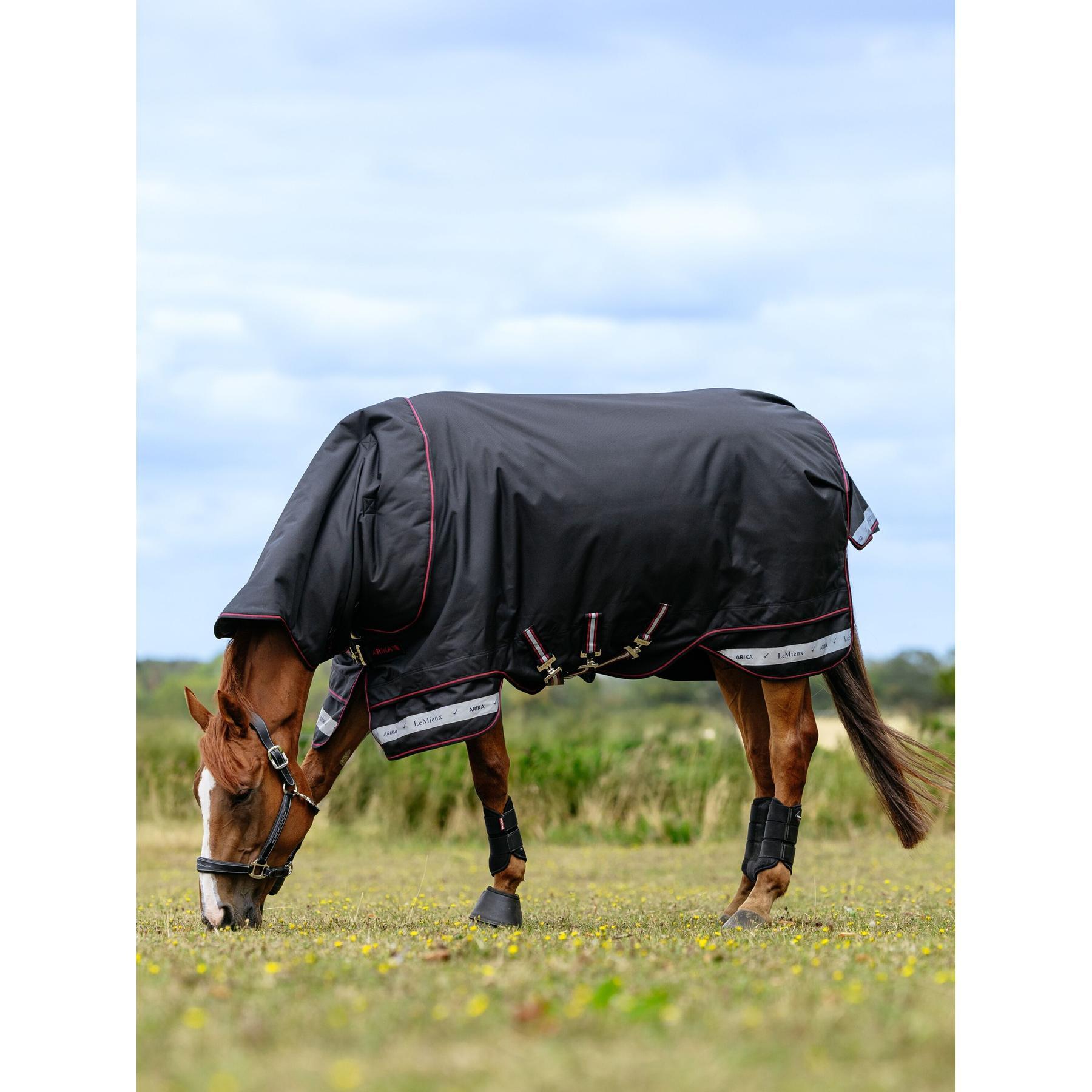 Waterdichte paardendeken LeMieux Arika Storm-Tek 350g 2/5